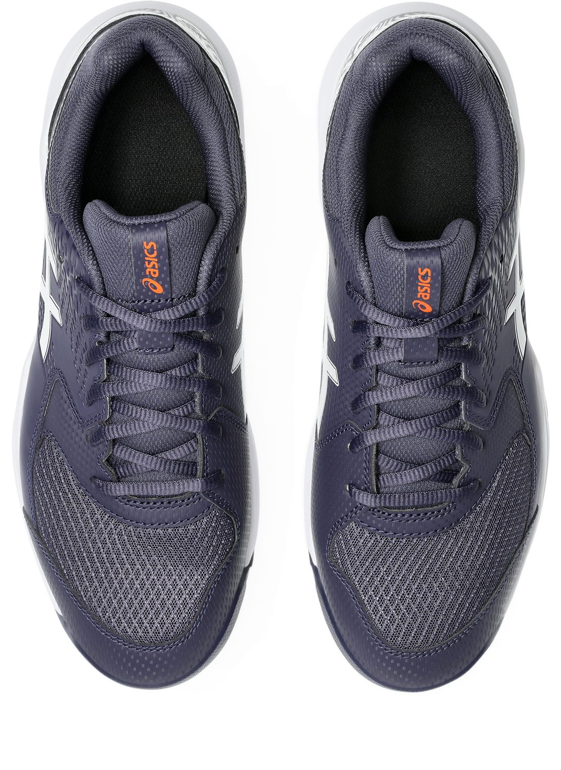 Asics GEL-DEDICATE 8 Tennisschuh Multi Court günstig online kaufen