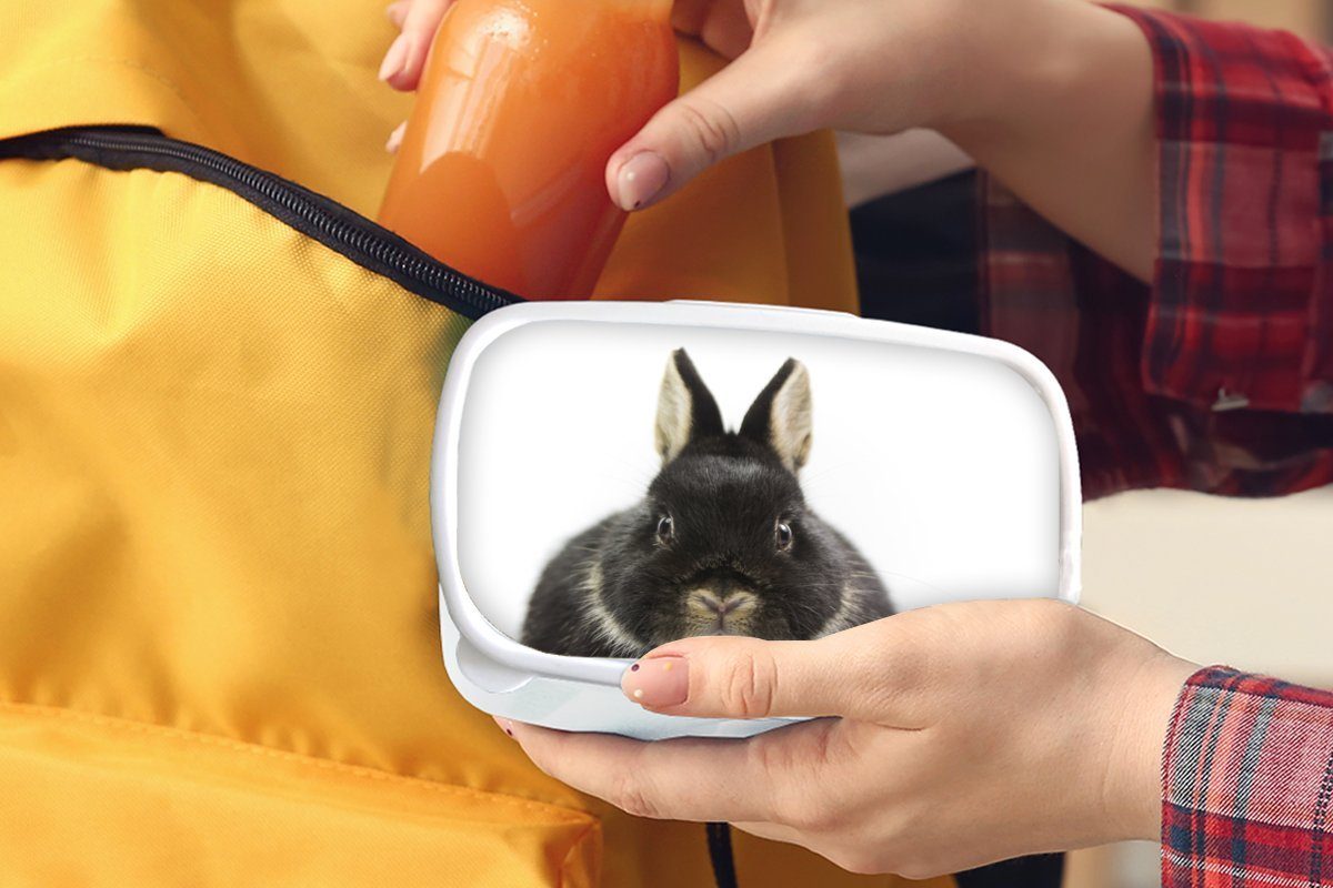 MuchoWow Lunchbox für Kaninchen und Jungs - Kunststoff, Kinder Haustiere Brotdose, und weiß Fell, - für (2-tlg), Erwachsene, Mädchen Brotbox
