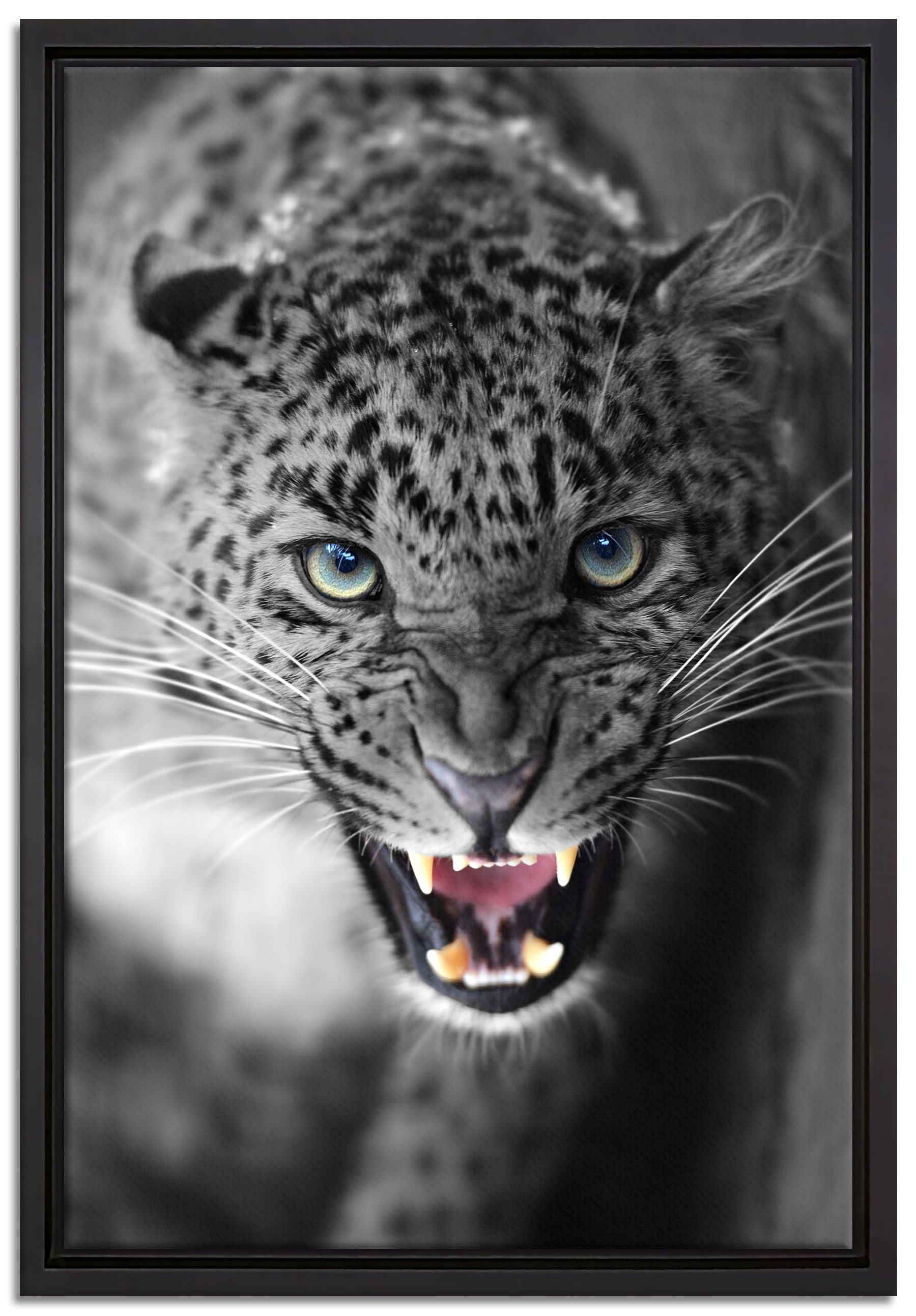 Pixxprint Leinwandbild schöner fauchender Leopard, Wanddekoration (1 St), Leinwandbild fertig bespannt, in einem Schattenfugen-Bilderrahmen gefasst, inkl. Zackenaufhänger