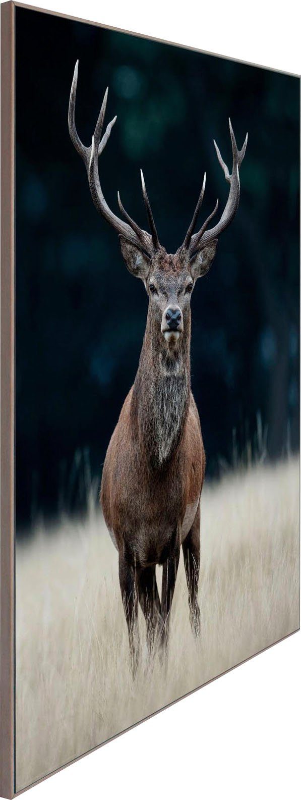 Deer Wood Frame 50x70 Reinders! Slim Wandbild