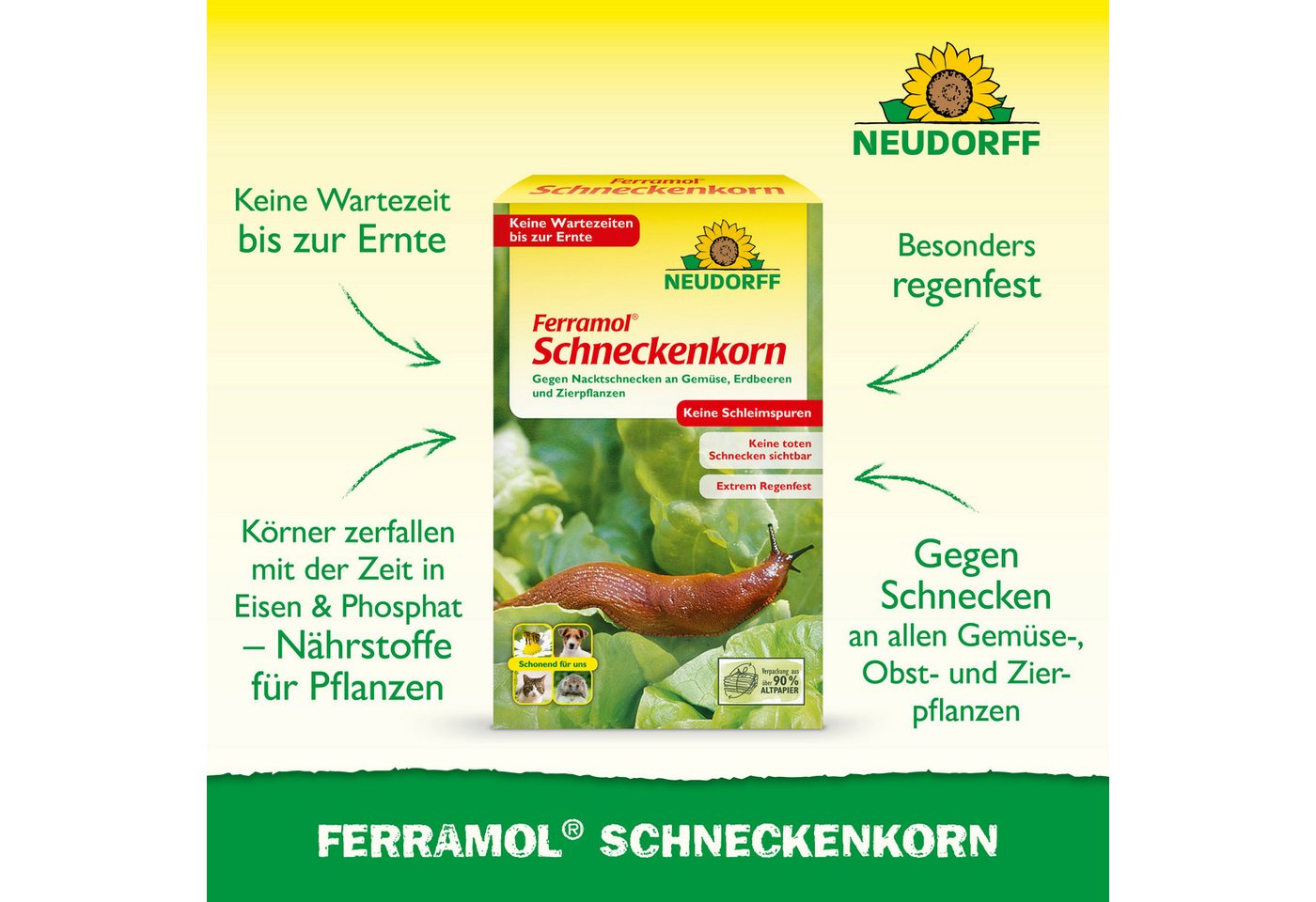 Thumbnail - Neudorff Pflanzenstärkungsmittel Ferramol Schneckenkorn 500 g für 100 m², schonend für Tiere & extrem regenfest durch ne...
