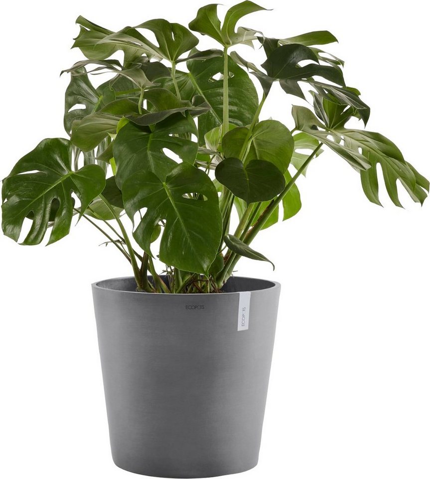 ECOPOTS Blumentopf AMSTERDAM Grey, BxTxH: 50x50x43,8 cm, mit Wasserreservoir