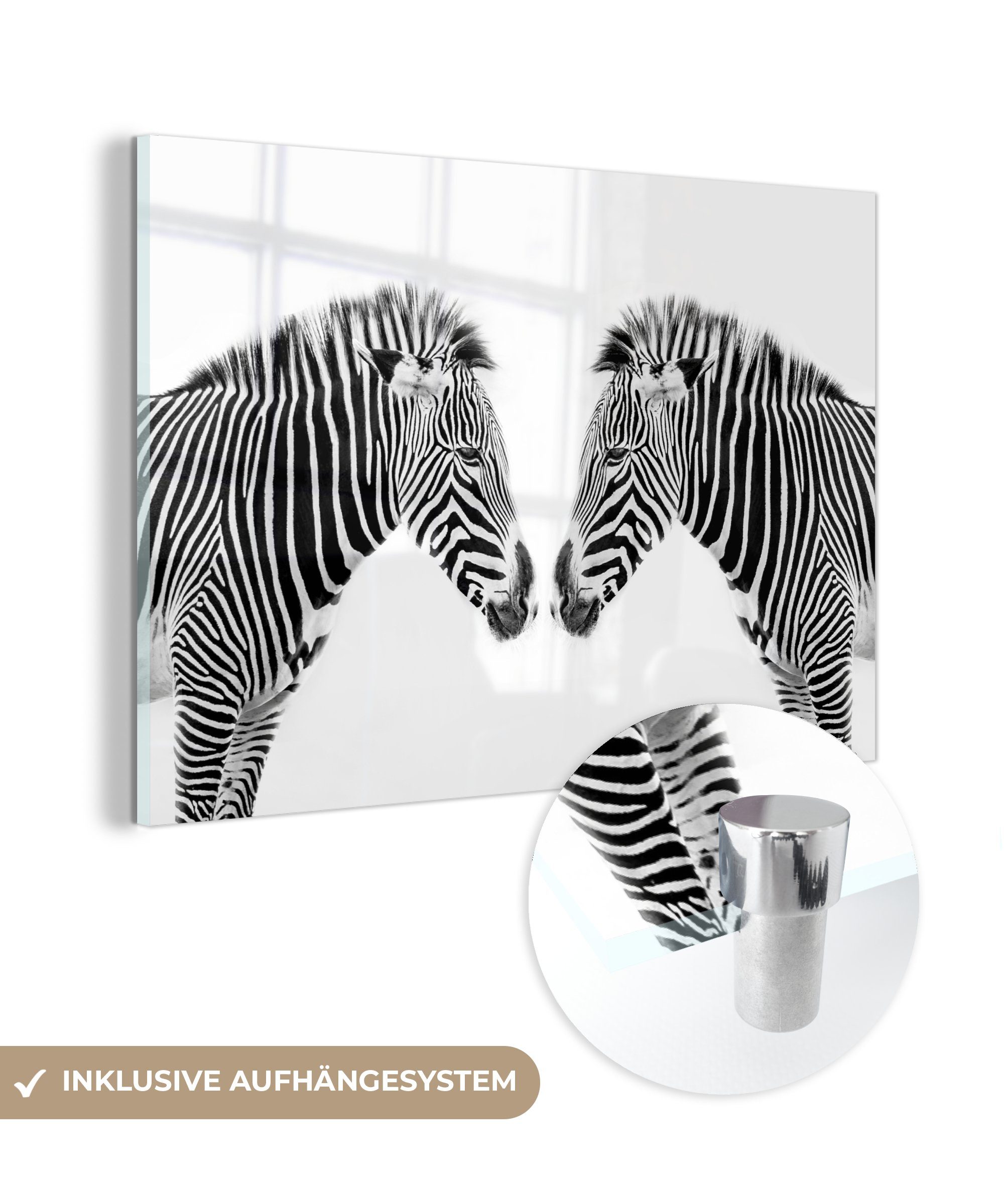 MuchoWow St), auf Acrylglasbilder Gespiegeltes & Zebra Wohnzimmer Schlafzimmer Acrylglasbild Hintergrund, (1 weißem