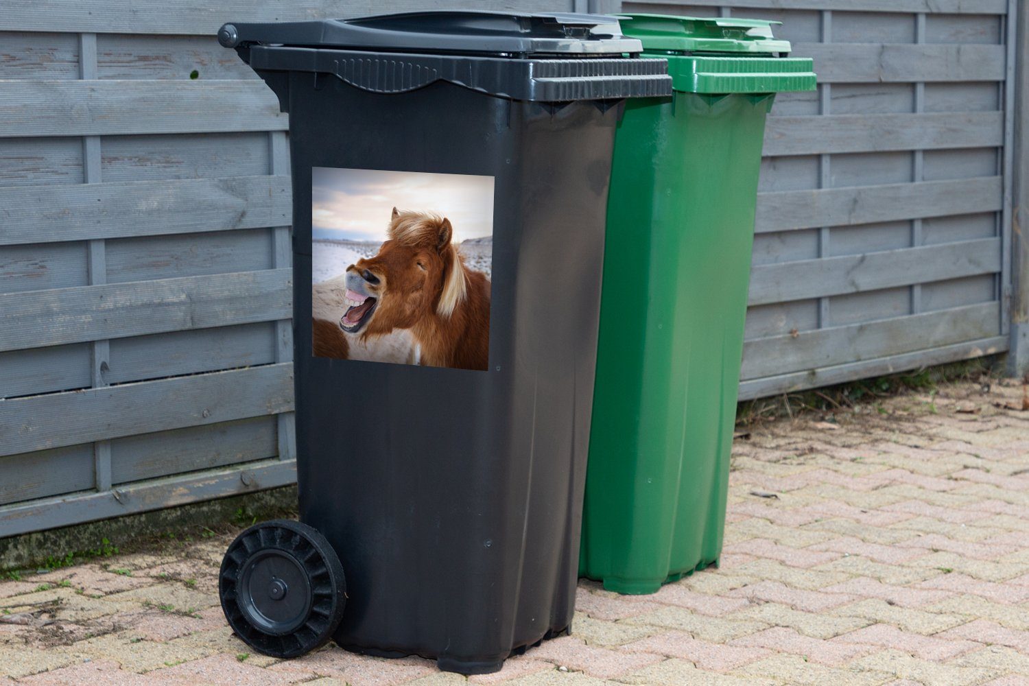 - Mülltonne, Pferd (1 Container, - Braun Strand Abfalbehälter Mülleimer-aufkleber, Sticker, St), Wandsticker MuchoWow
