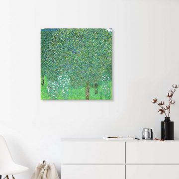 Posterlounge Alu-Dibond-Druck Gustav Klimt, Rosen unter Bäumen, Wohnzimmer Malerei