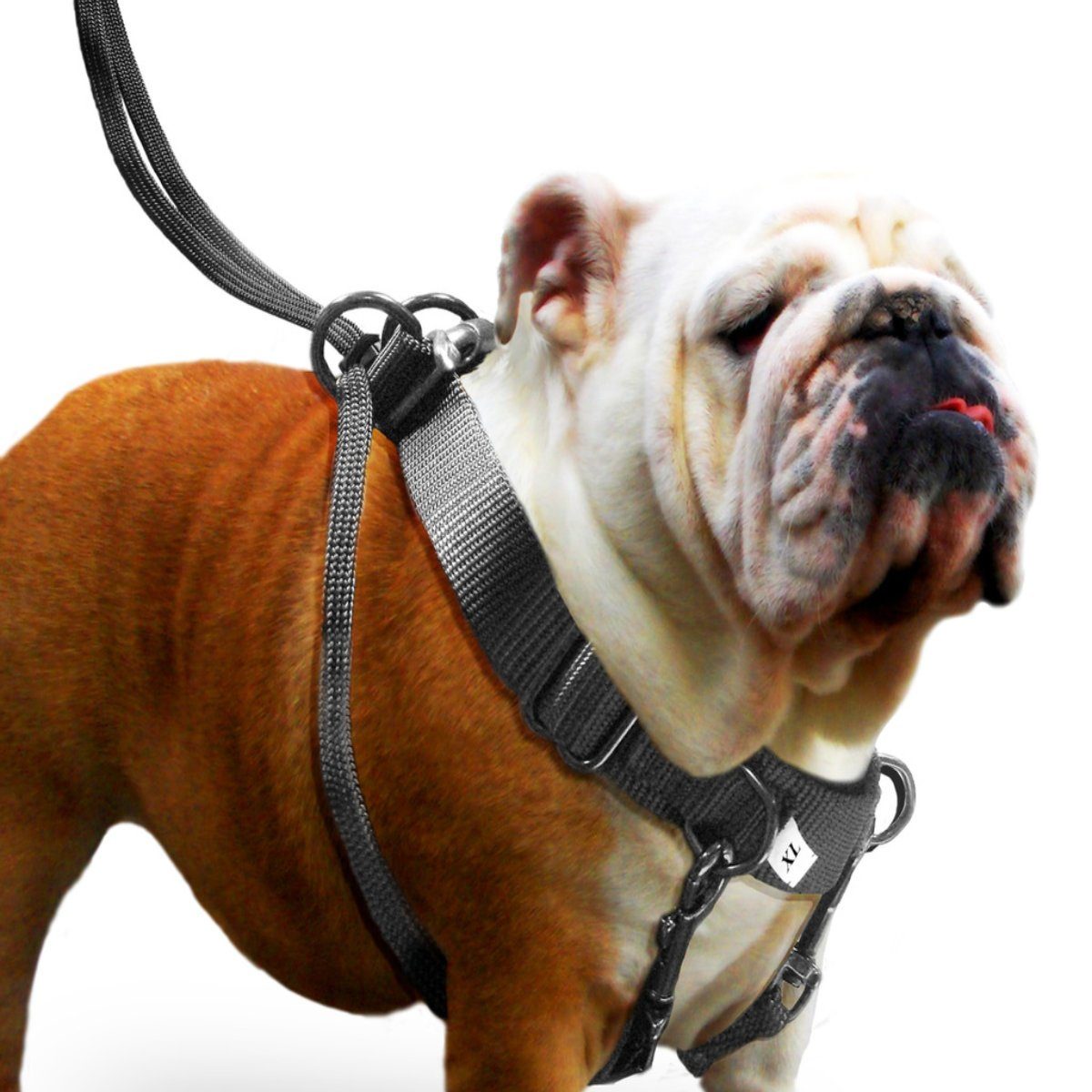Karlie Hunde-Erziehungsgeschirr Easy Walker günstig online kaufen
