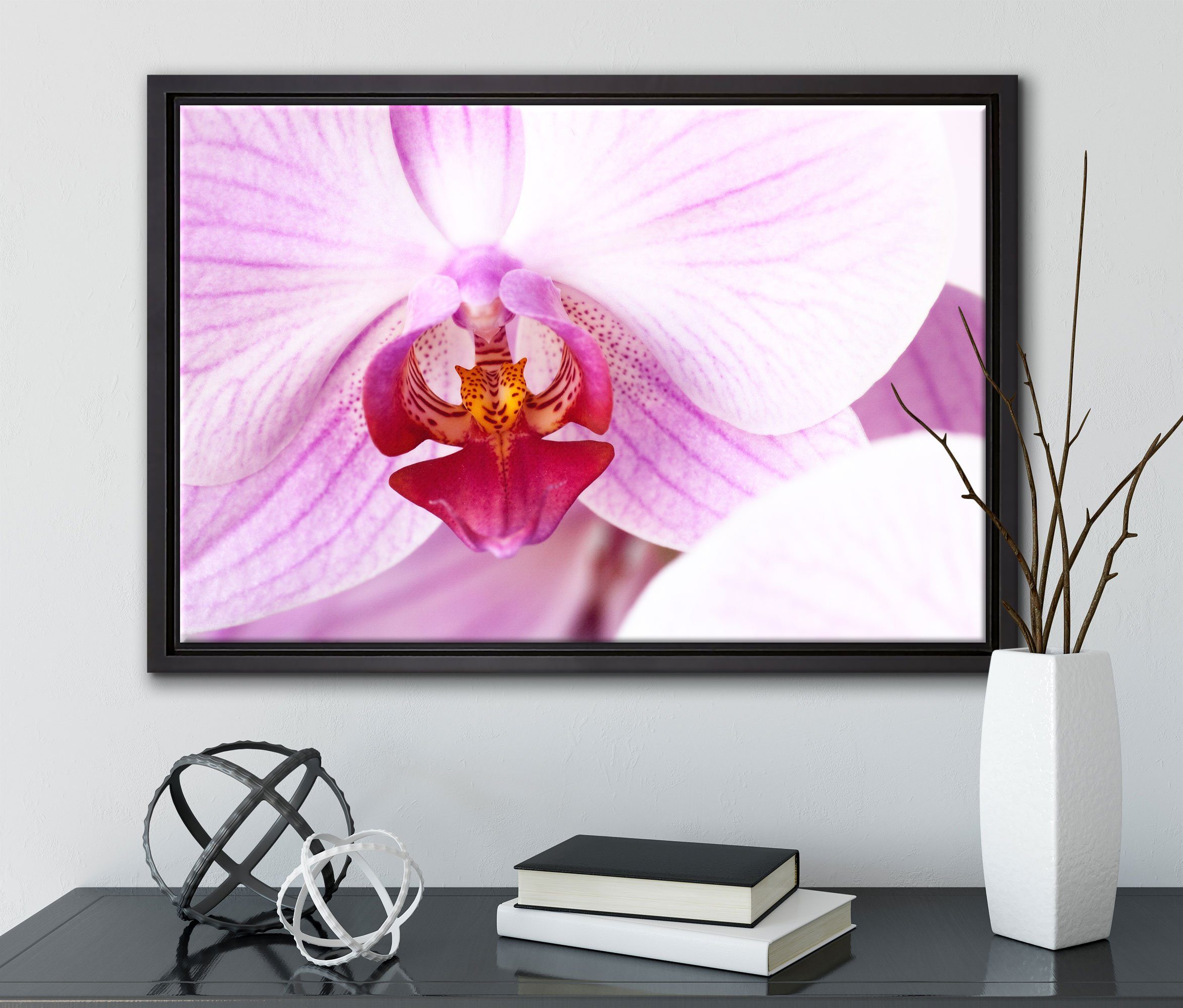 Rosa Leinwandbild Zackenaufhänger Schattenfugen-Bilderrahmen Pixxprint gefasst, einem Prächtige fertig in St), Leinwandbild Wanddekoration bespannt, inkl. (1 Orchidee,