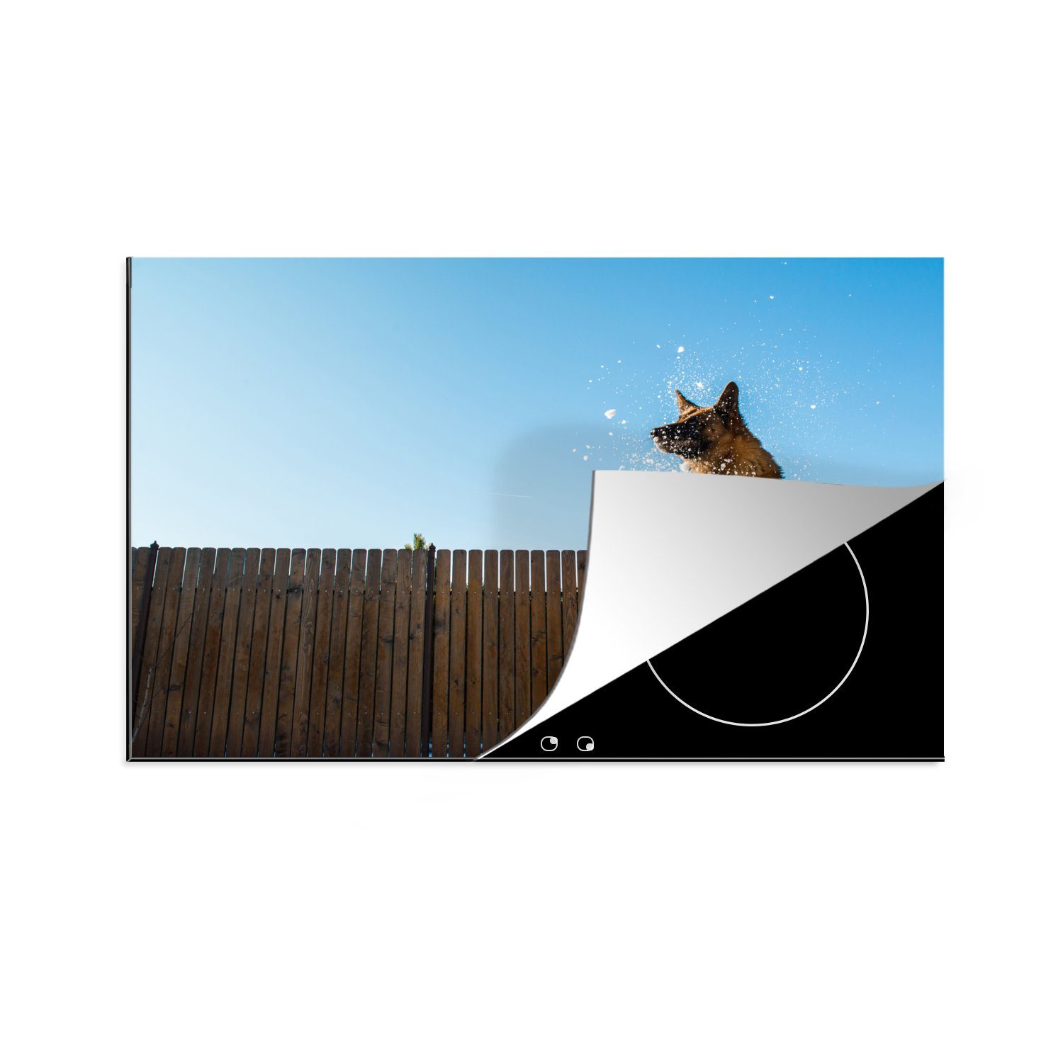 MuchoWow Herdblende-/Abdeckplatte Und Deutscher Schäferhund springt in den Schnee, Vinyl, (1 tlg), 81x52 cm, Induktionskochfeld Schutz für die küche, Ceranfeldabdeckung