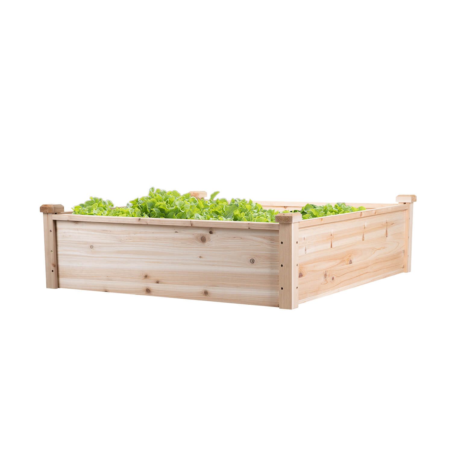 empasa Hochbeet "CLASSIC", Blumenkasten Kräuterbeet - 102 x 102 x 30 cm