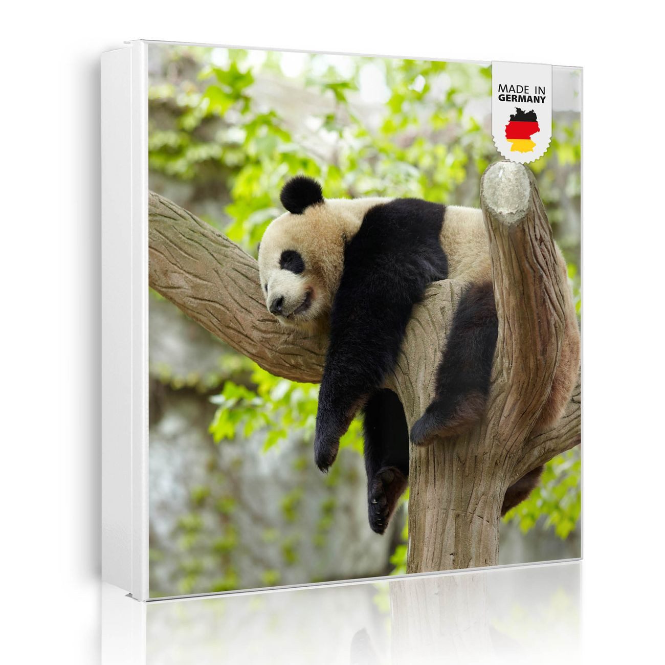 banjado Schlüsselkasten aus Glas mit Motiv Panda (Stahl Gehäuse, mit 50 Haken, beschreibbar & magnetisch), 30 x 30 x 5 cm, Schlüsselbox