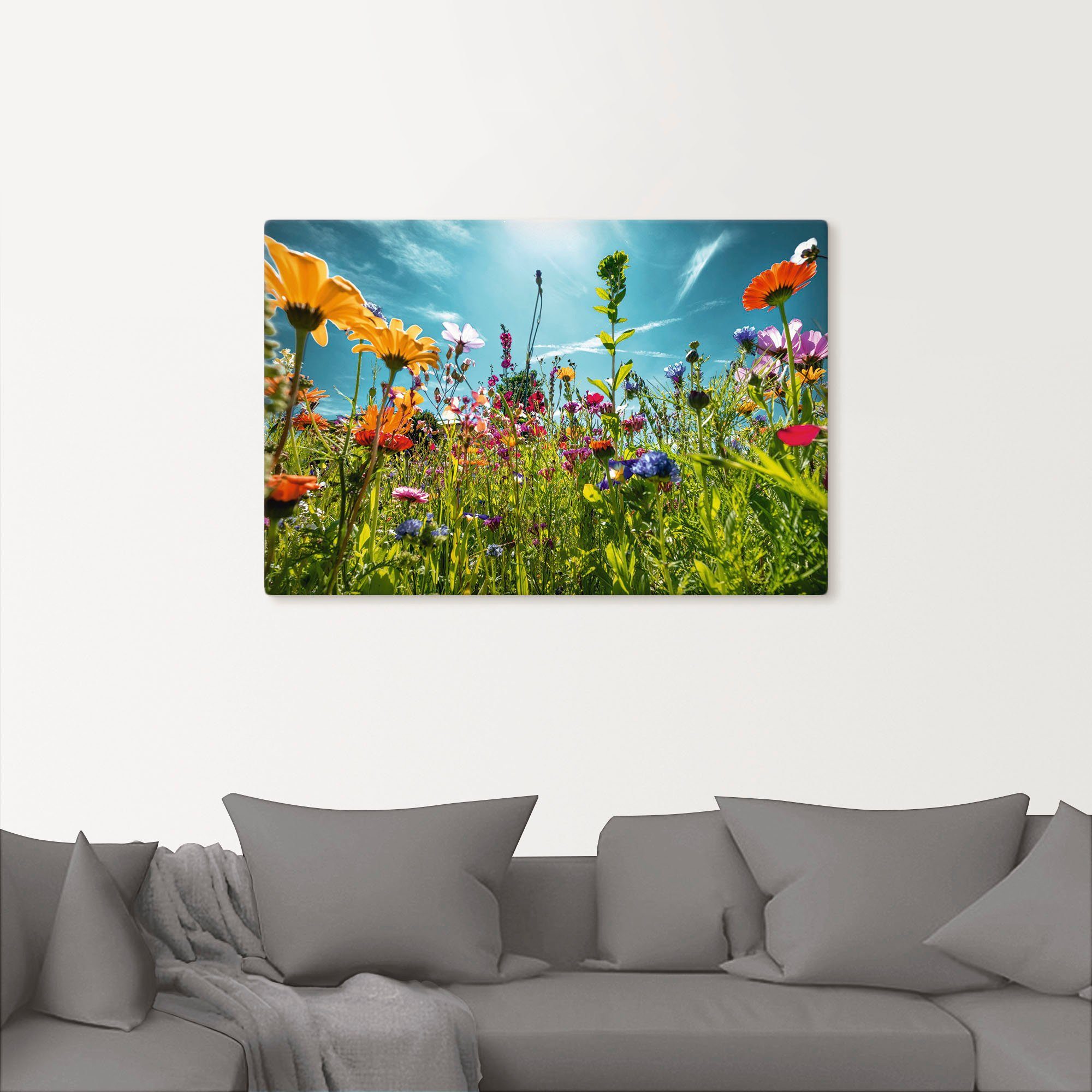 Artland Wandbild Buntes Blumenfeld, Blumenwiese (1 St), als Alubild, Leinwandbild, Poster in verschied. Größen