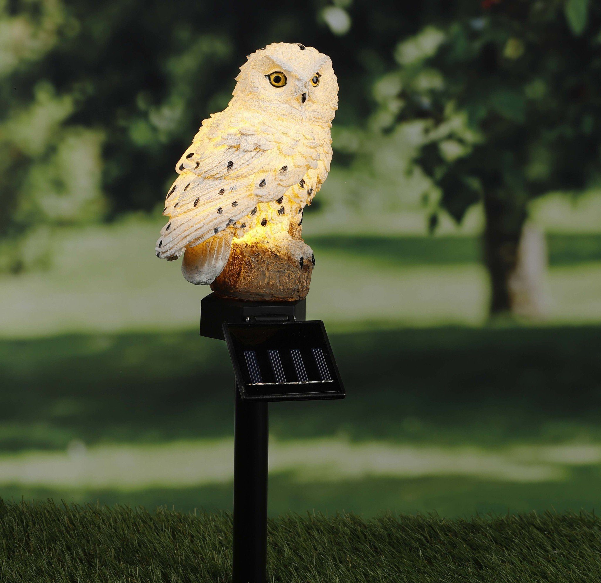 Haushalt International LED Solarleuchte günstig online kaufen