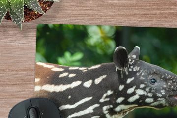 MuchoWow Gaming Mauspad Junger Tapir im Dschungel (1-St), Mousepad mit Rutschfester Unterseite, Gaming, 40x40 cm, XXL, Großes