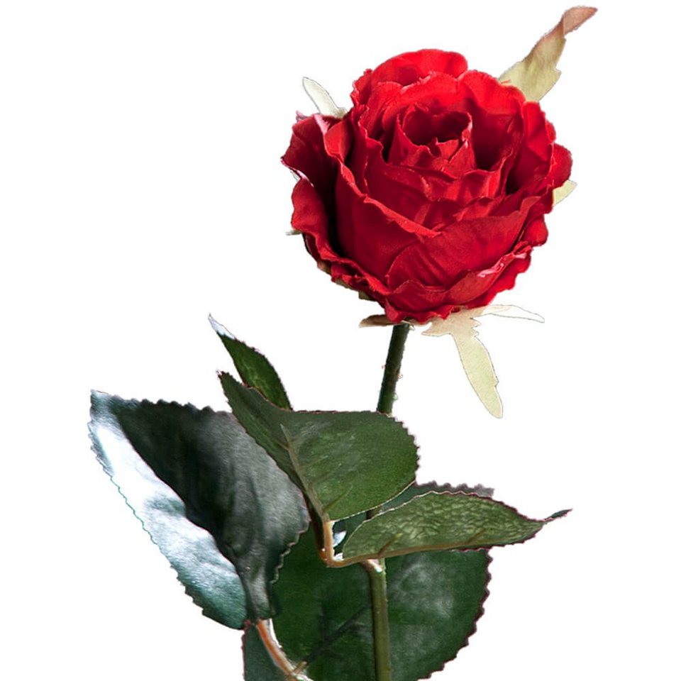 Kunstblume Rose Kolumbien Stielrose Kunstpflanze 37 cm 1 Stk rot Rosen,  matches21 HOME & HOBBY, Höhe 37 cm, Indoor