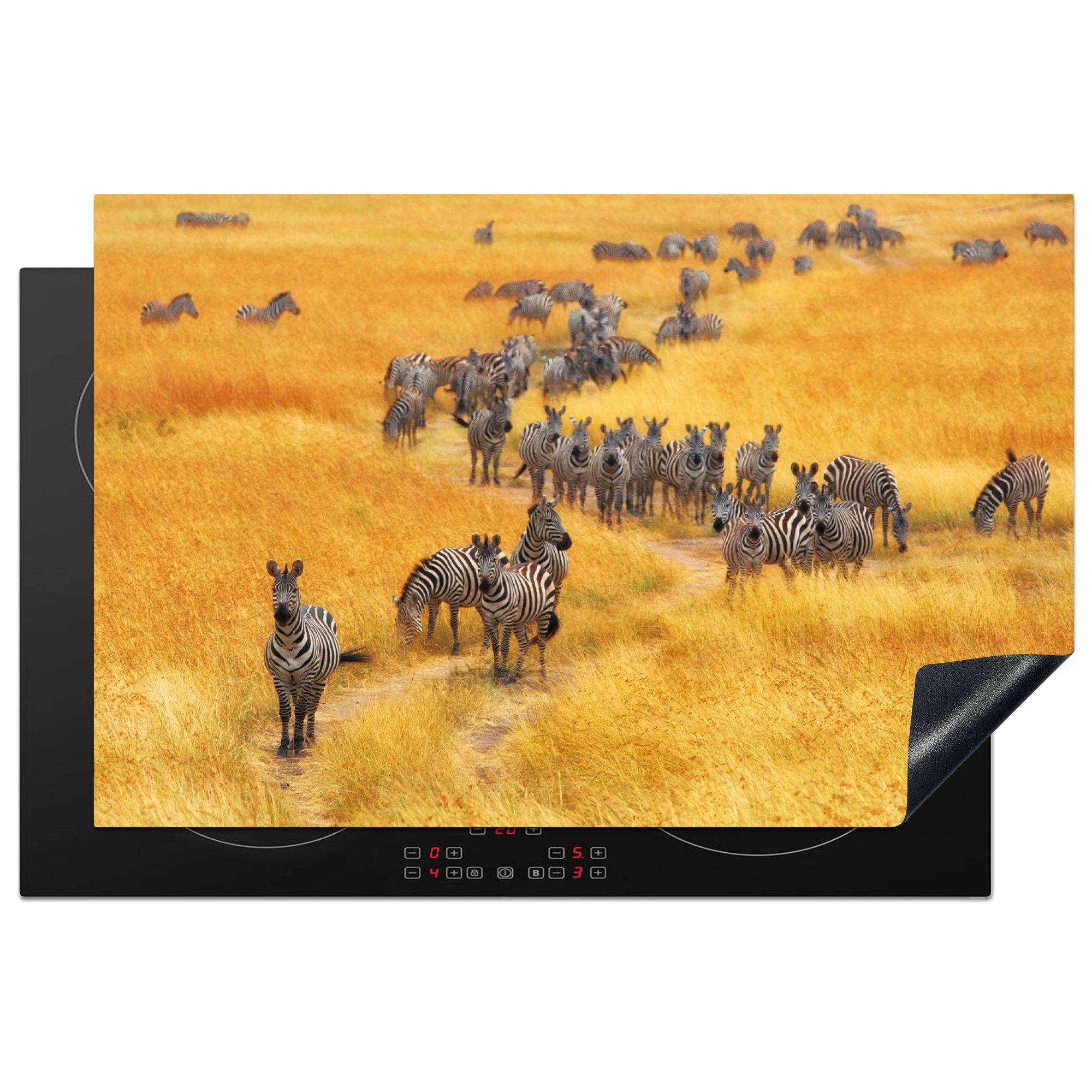 MuchoWow Herdblende-/Abdeckplatte Herde Zebras in freier Wildbahn, Vinyl, (1 tlg), 81x52 cm, Induktionskochfeld Schutz für die küche, Ceranfeldabdeckung
