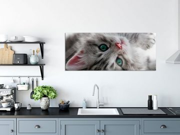 Pixxprint Glasbild Süßes Katzenbaby, Süßes Katzenbaby (1 St), Glasbild aus Echtglas, inkl. Aufhängungen und Abstandshalter