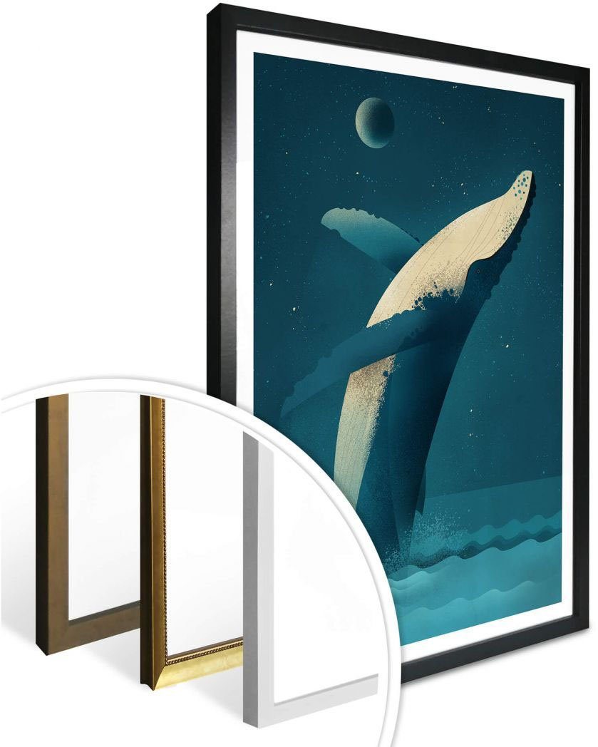 St), Poster Schriftzug Humpback Whale, Wandposter Bild, Wall-Art (1 Wandbild, Poster,