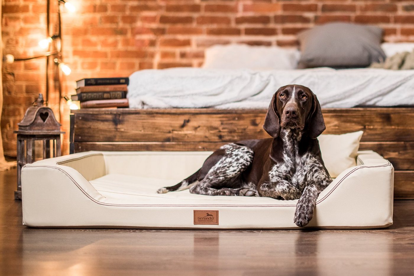 Thumbnail - tierlando® Tierbett tierlando® Orthopädisches LUXUS-Hundebett MELODY LATEX Anti-Haar Kunst