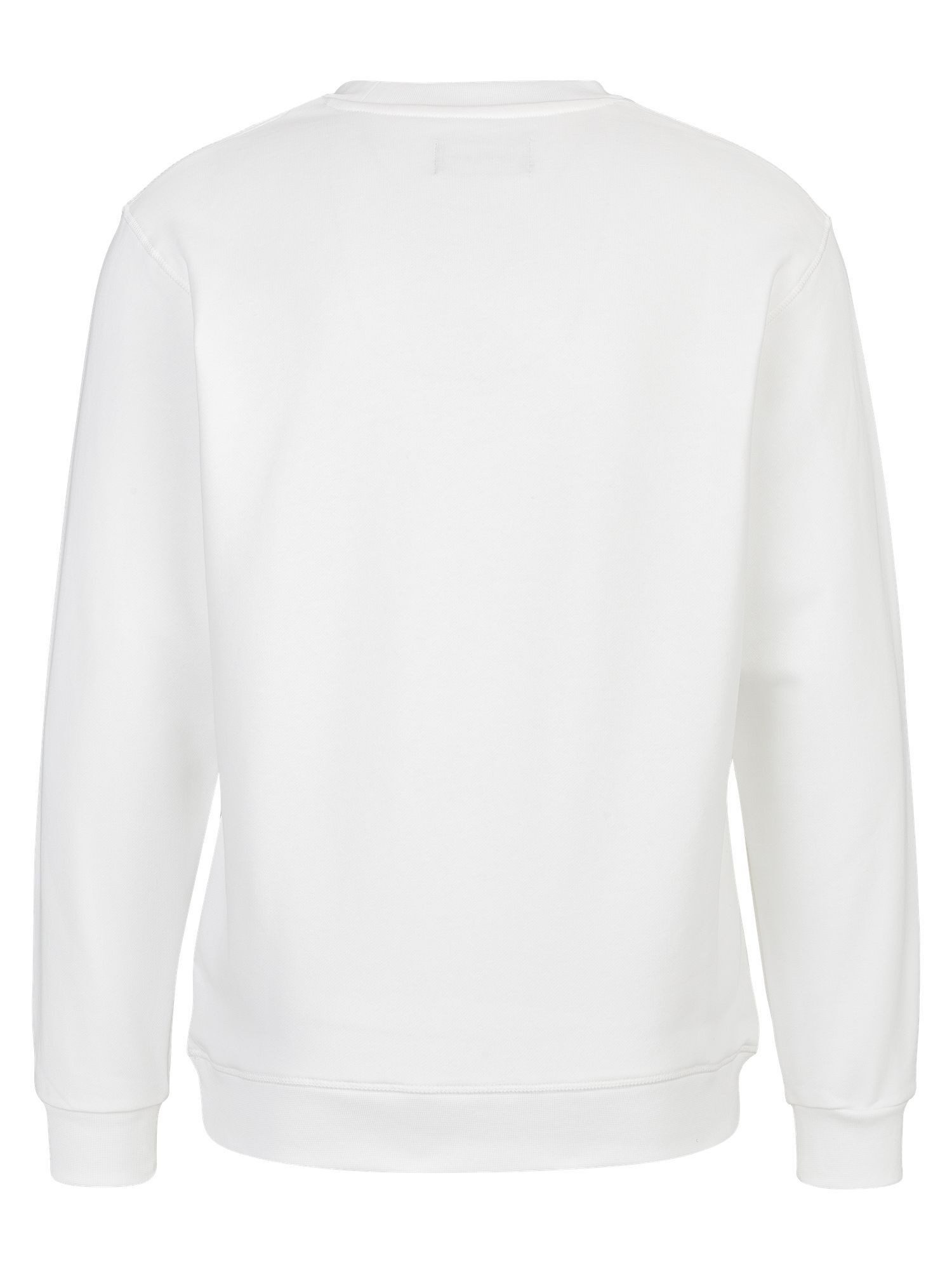 Replay Sweatshirt FRENCH TERRY COTTON-POLY günstig online kaufen