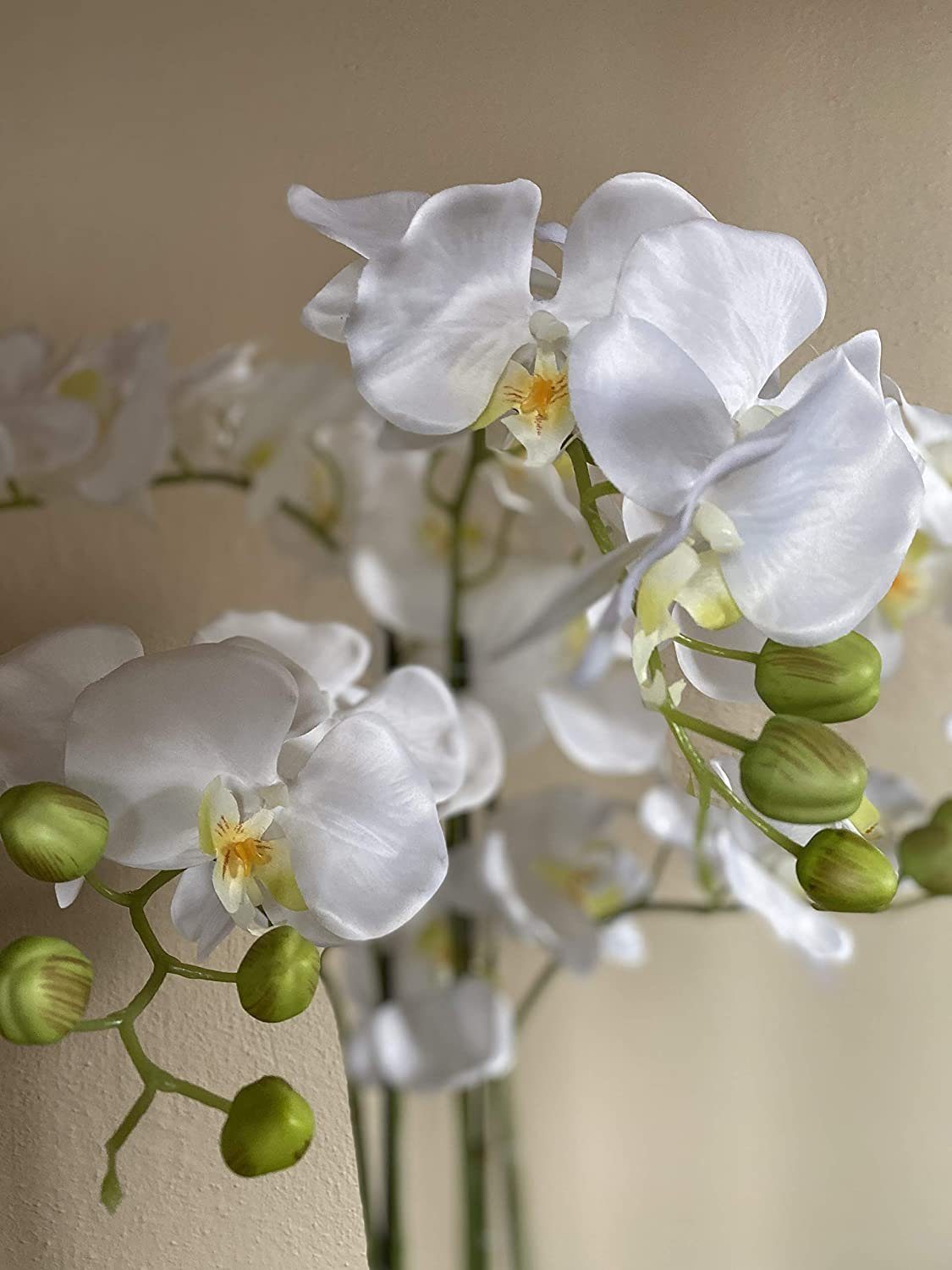 Kunstblume Kunstorchidee Orchidee, Creativ green, Höhe 90 cm