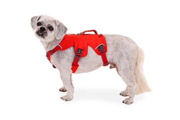 Ruffwear Hunde-Geschirr Web Master Harness