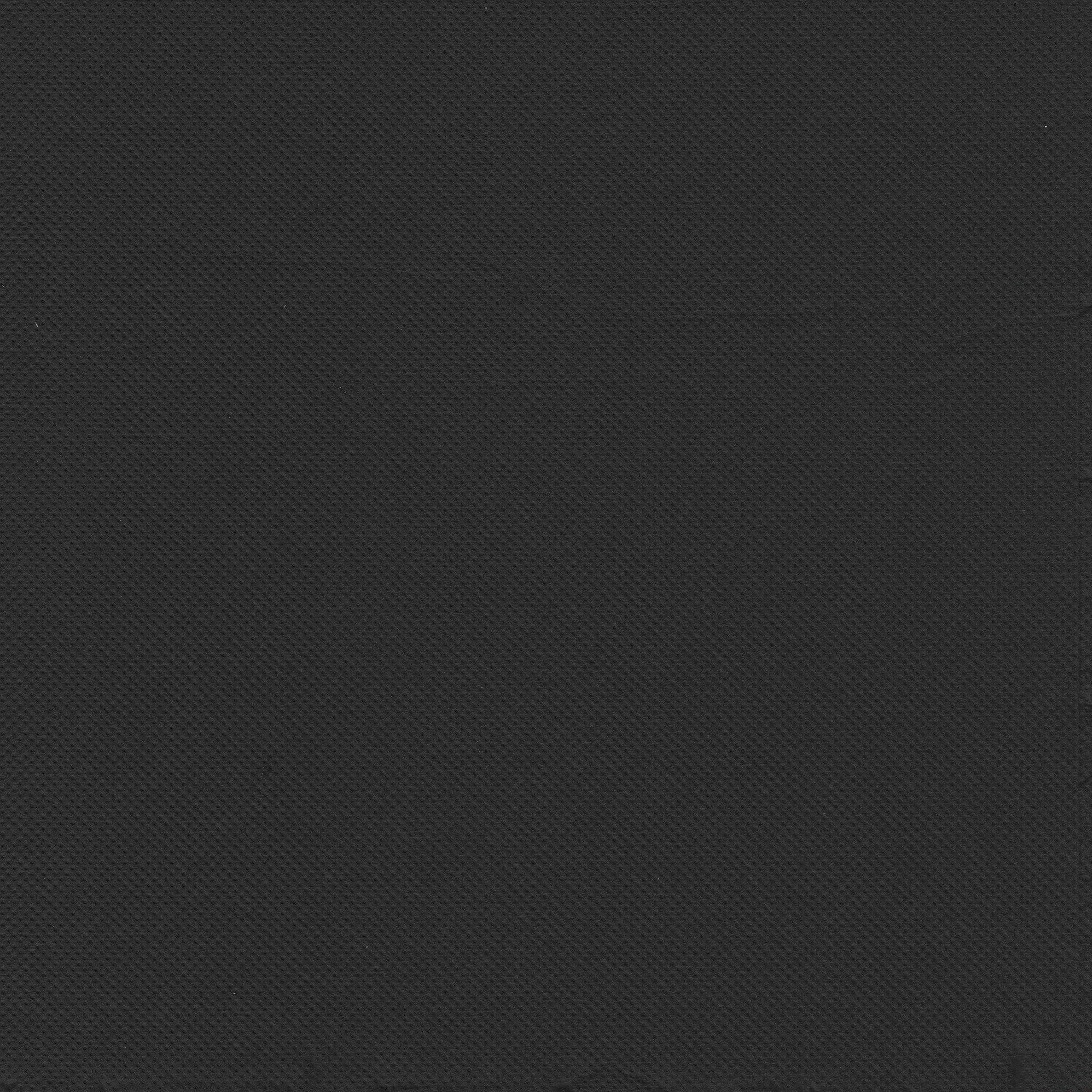 PAPSTAR Papierserviette, Servietten Papier 38x38cm 2-lagig 1/4-Falz 30 Stück Geprägt Schwarz