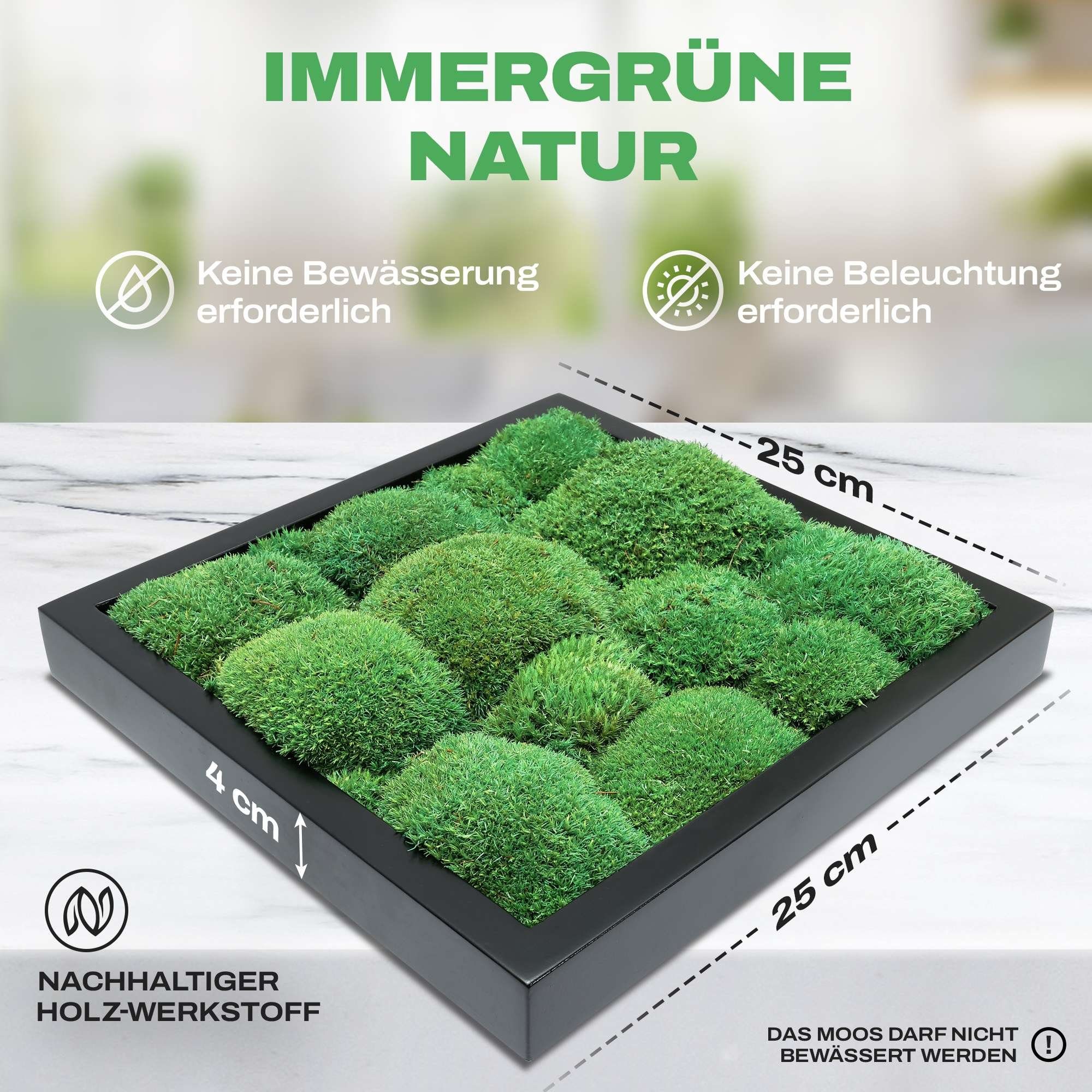 naturewalls - Pflanzenbild konserviert Wandbild, Kugelmoos Schwarz Moosbild St), (1 Vollholz-Rahmen Bild -