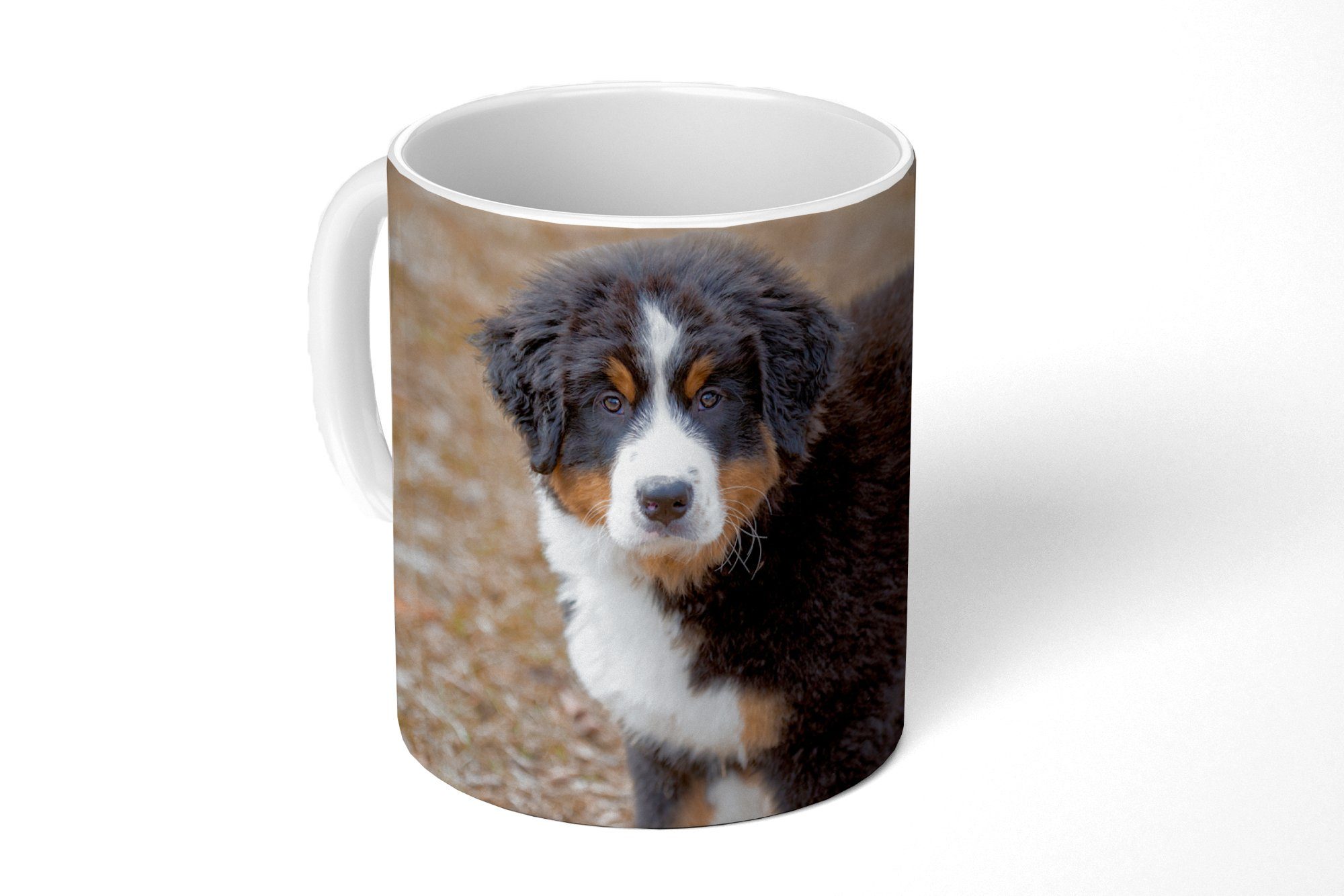 MuchoWow Tasse Berner Sennenhund Welpe am Morgen, Keramik, Kaffeetassen, Teetasse, Becher, Teetasse, Geschenk