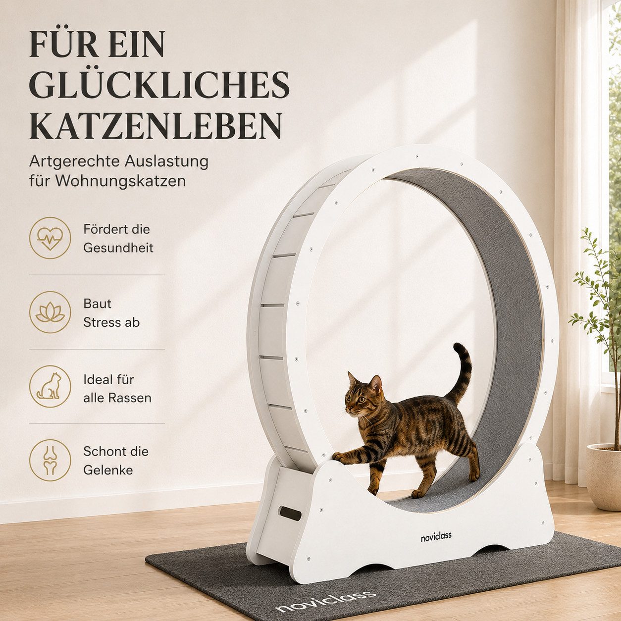 noviclass Tierlaufrad Katzenlaufrad 'Baghira' XXL Groß 120cm Innendurchmesser