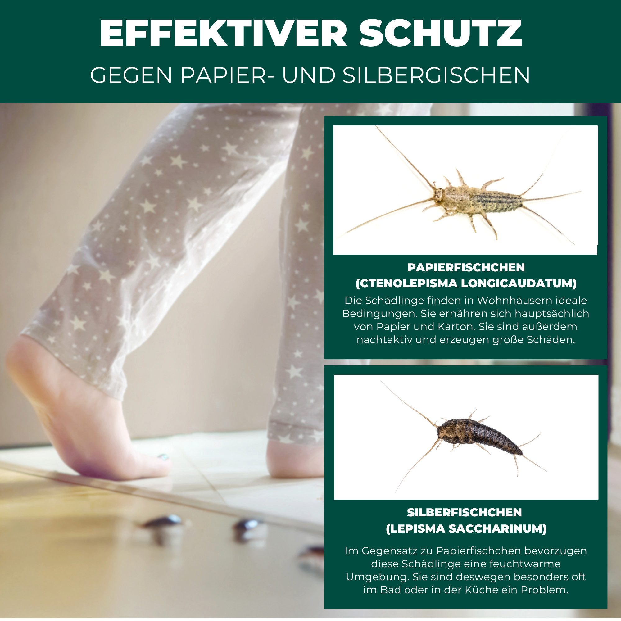 Silberkraft Insektenfalle Silberfischfalle – Effektive Lösung gegen Silberfische & Papierfische, Langzeitwirkung Effektive Prävention Einfache Anwendung – Bild 4 von 5