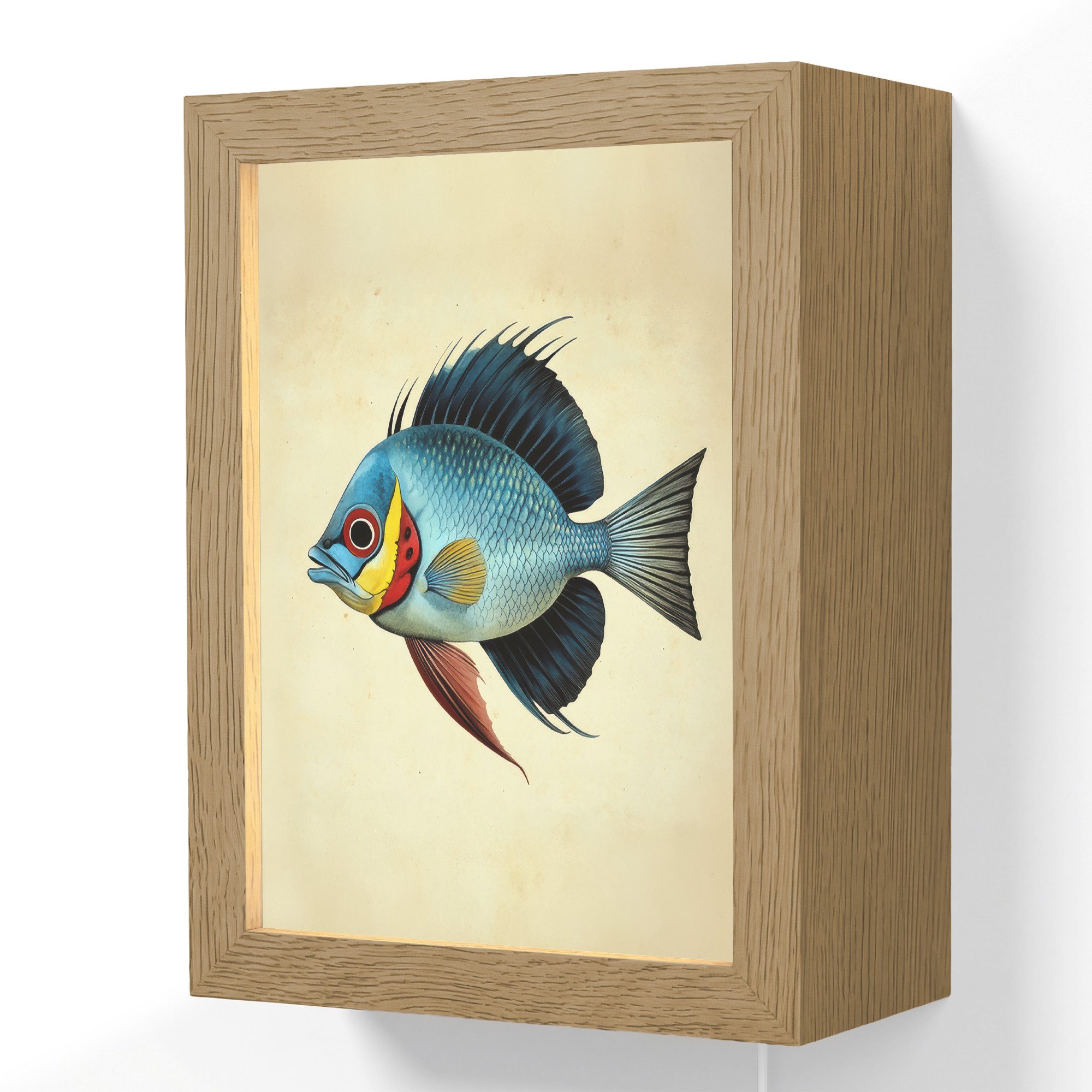 Wandleuchte Lightbox Blau - Kiemen - Fisch - Illustration