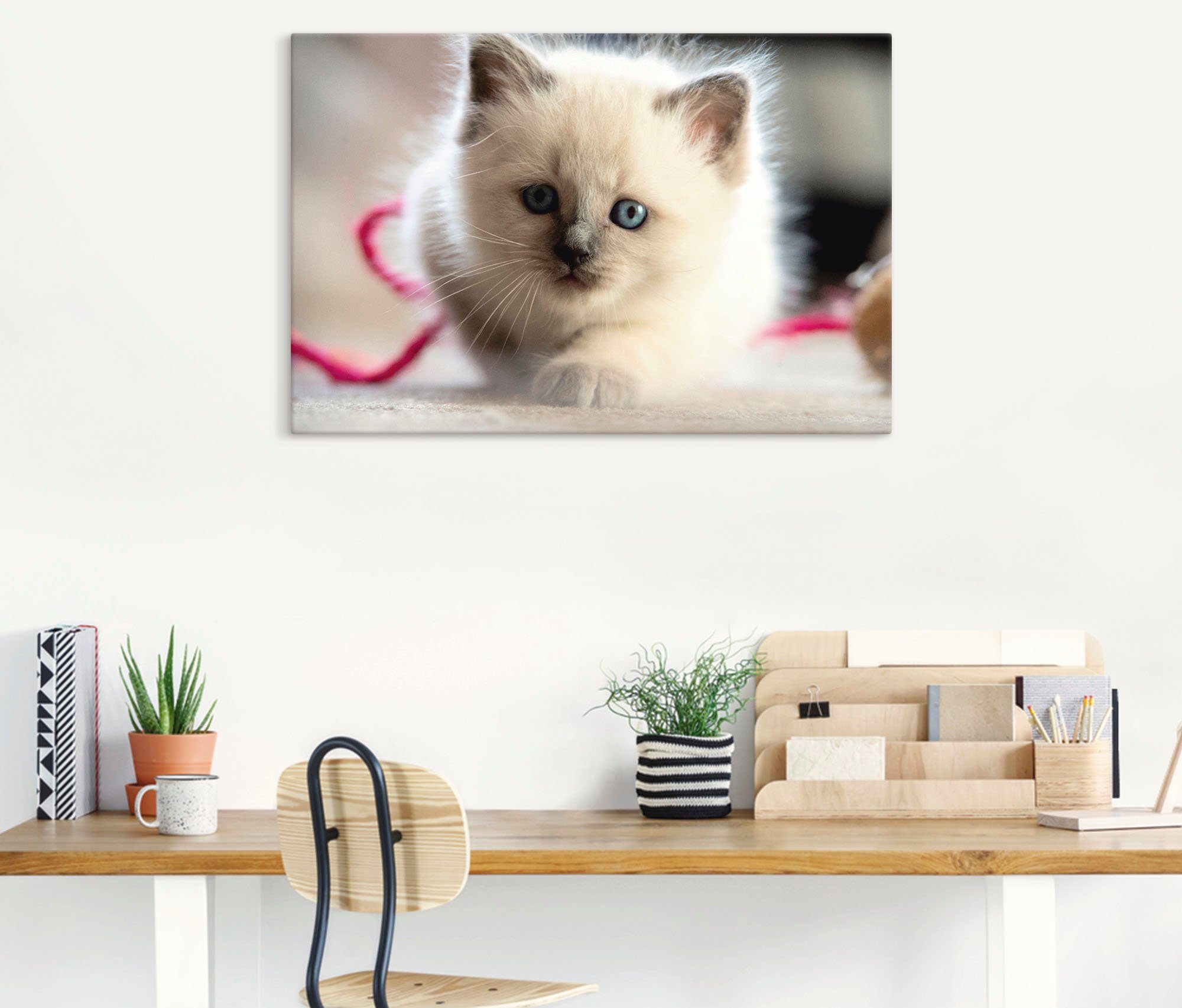 in Artland Birma Spiel, Katzenbilder Leinwandbild, Wandaufkleber Wandbild Katze als versch. Poster oder Alubild, Größen St), (1 im Heilige