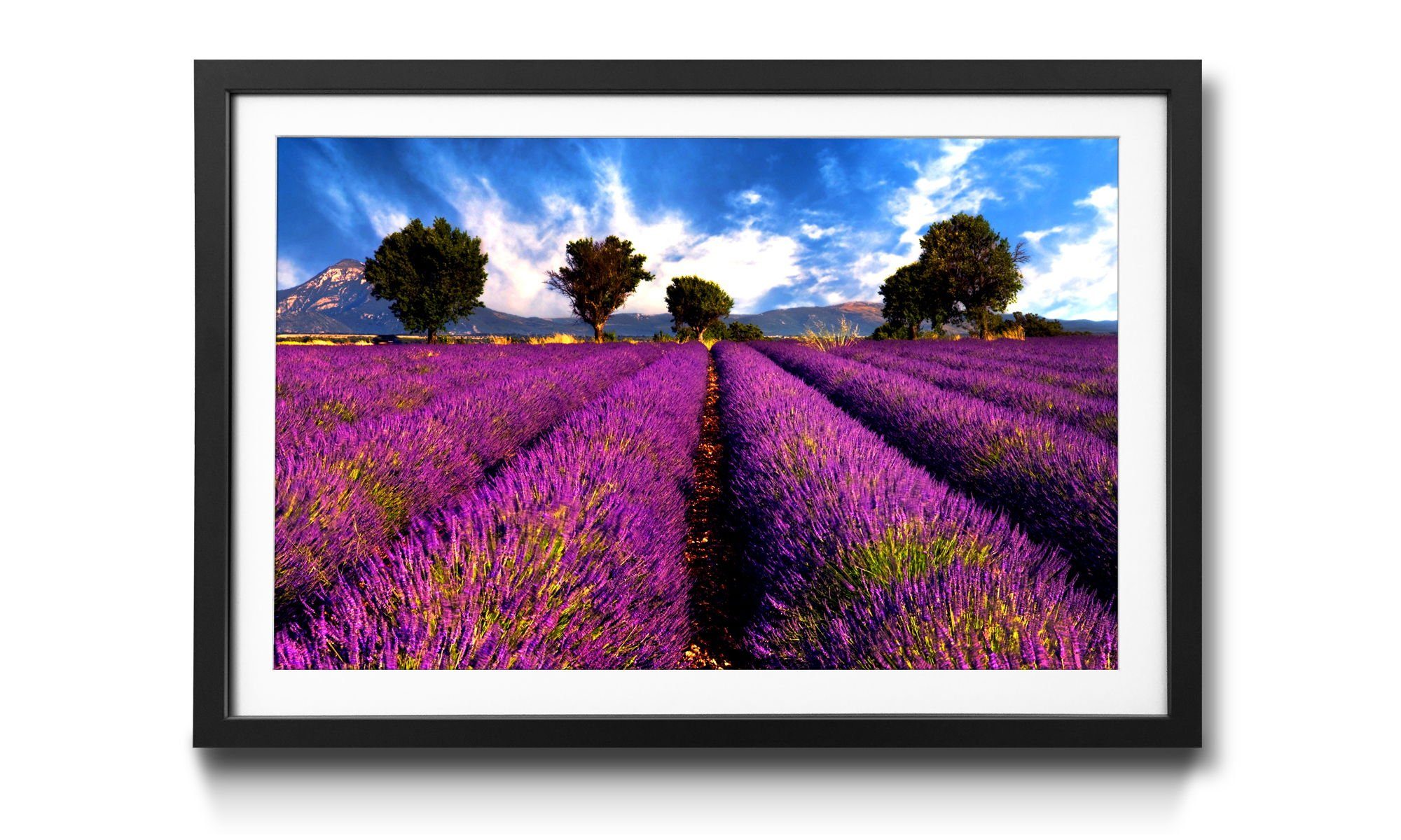WandbilderXXL Bild mit Rahmen Lavender, Landschaft, Wandbild, in 4 Größen erhältlich