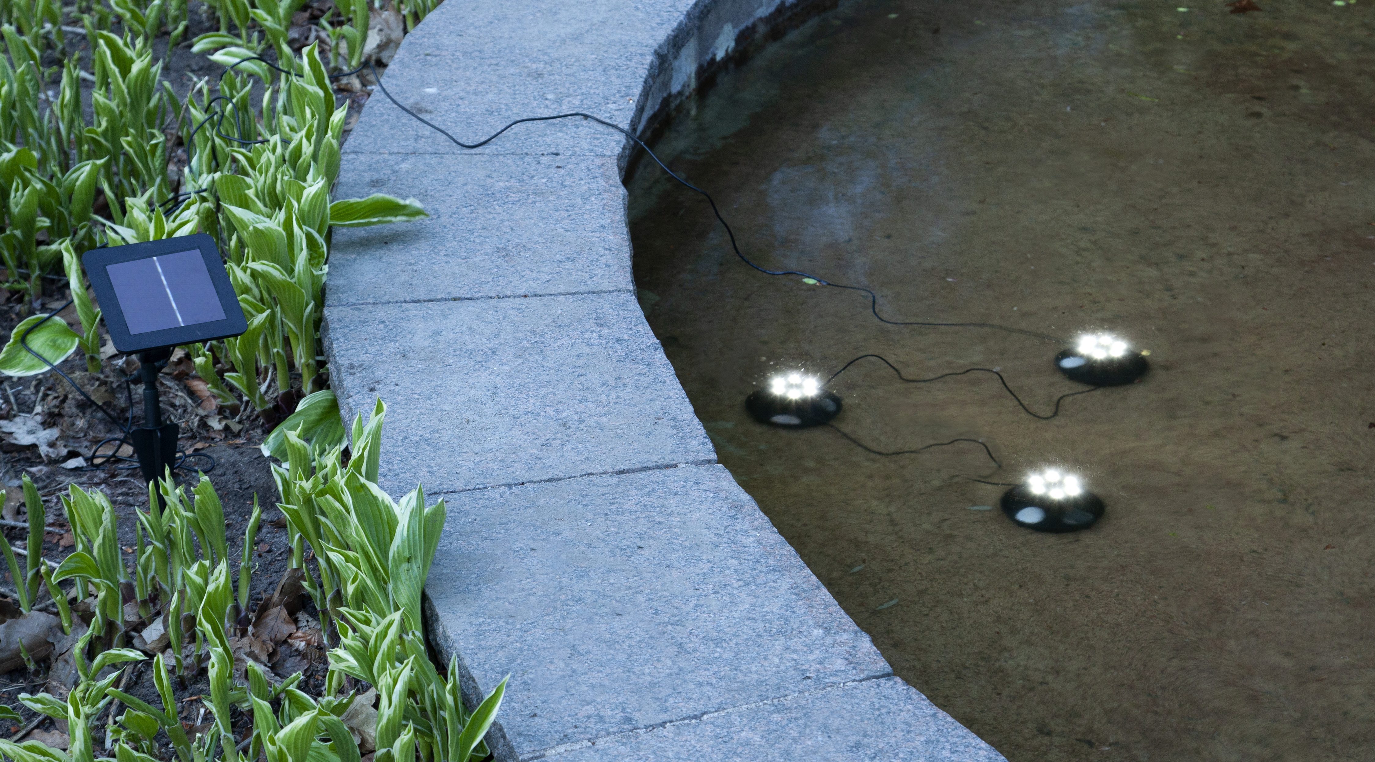 STAR TRADING LED Solarleuchte Solar-Dekoration Wasserlicht, Tageslichtsensor, LED fest integriert, Tageslichtweiß, Dämmerungssensor, 3er-Set, Unterwassereinsatz bis max 1m