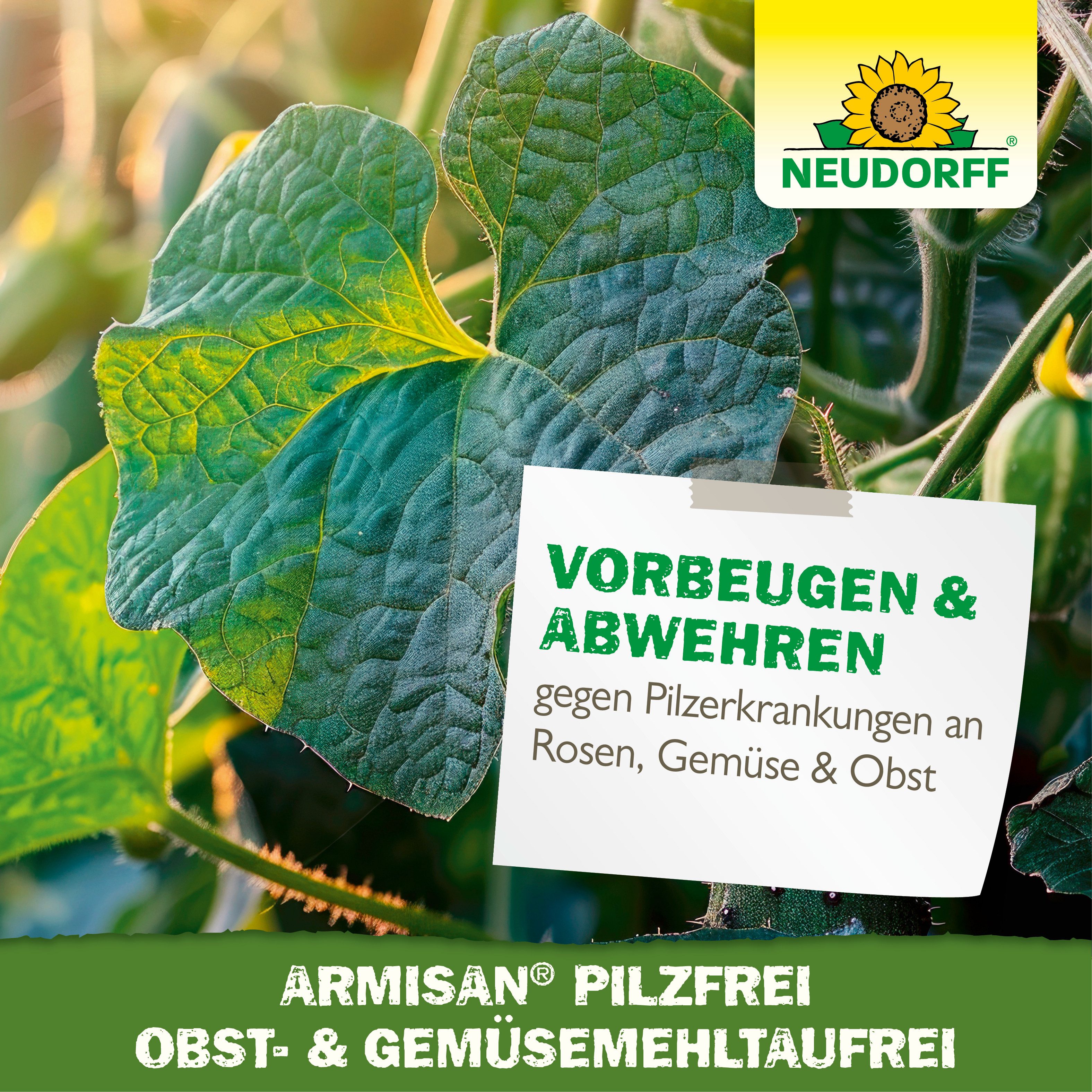 Neudorff Pflanzen-Pilzfrei Armisan PilzFrei Obst- & Gemüse-MehltauFrei 50g für 165m², 50 g, Wasserlösliches Fungizid für Obst, Gemüse und Zierpflanzen, 50 g in 5 Portionsbeuteln à 10 g, Nur 1 Tag Wartezeit bis zur Ernte bei Obst, Gemüse und Wein