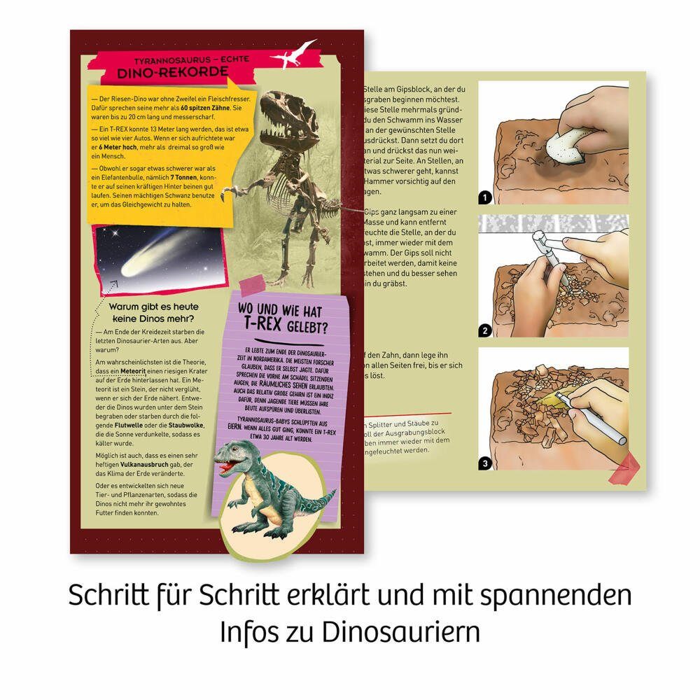 Kosmos Kreativset T-Rex Zahn