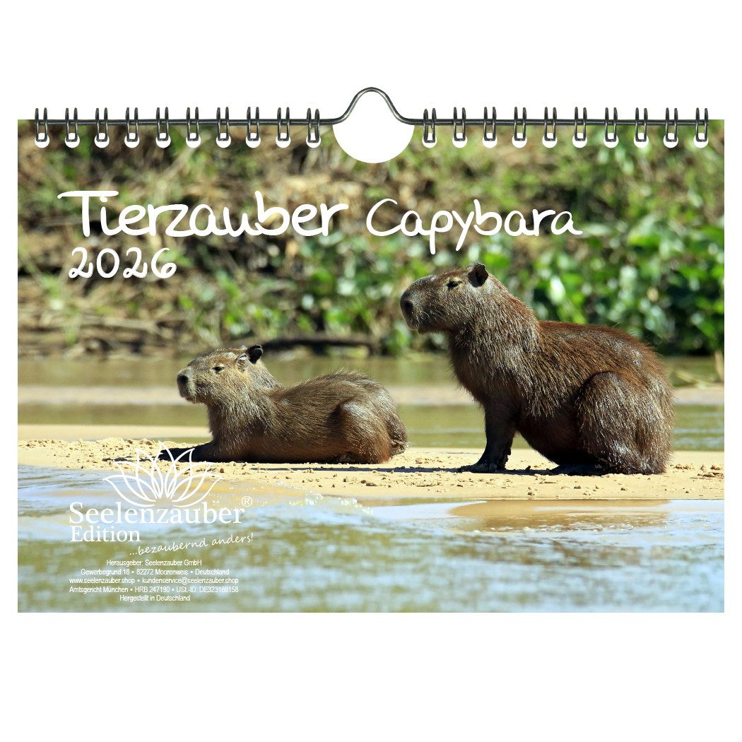 Seelenzauber Wandkalender Tierzauber Capybara DIN A5 Kalender für 2026 Schweine Schweinchen