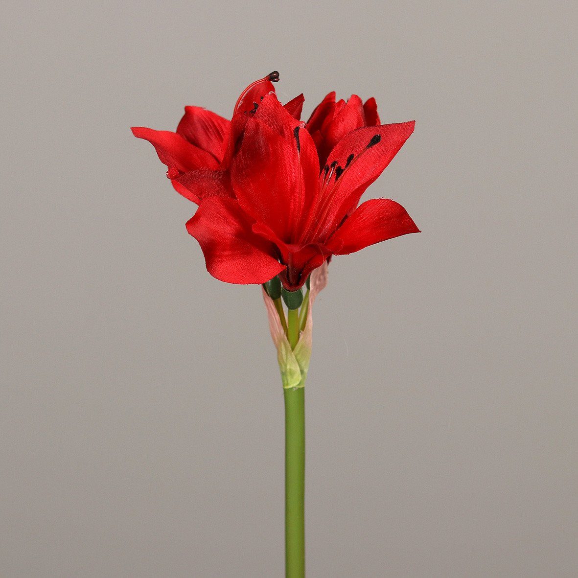 Kunstpflanze DPI Amaryllis rot 51 cm