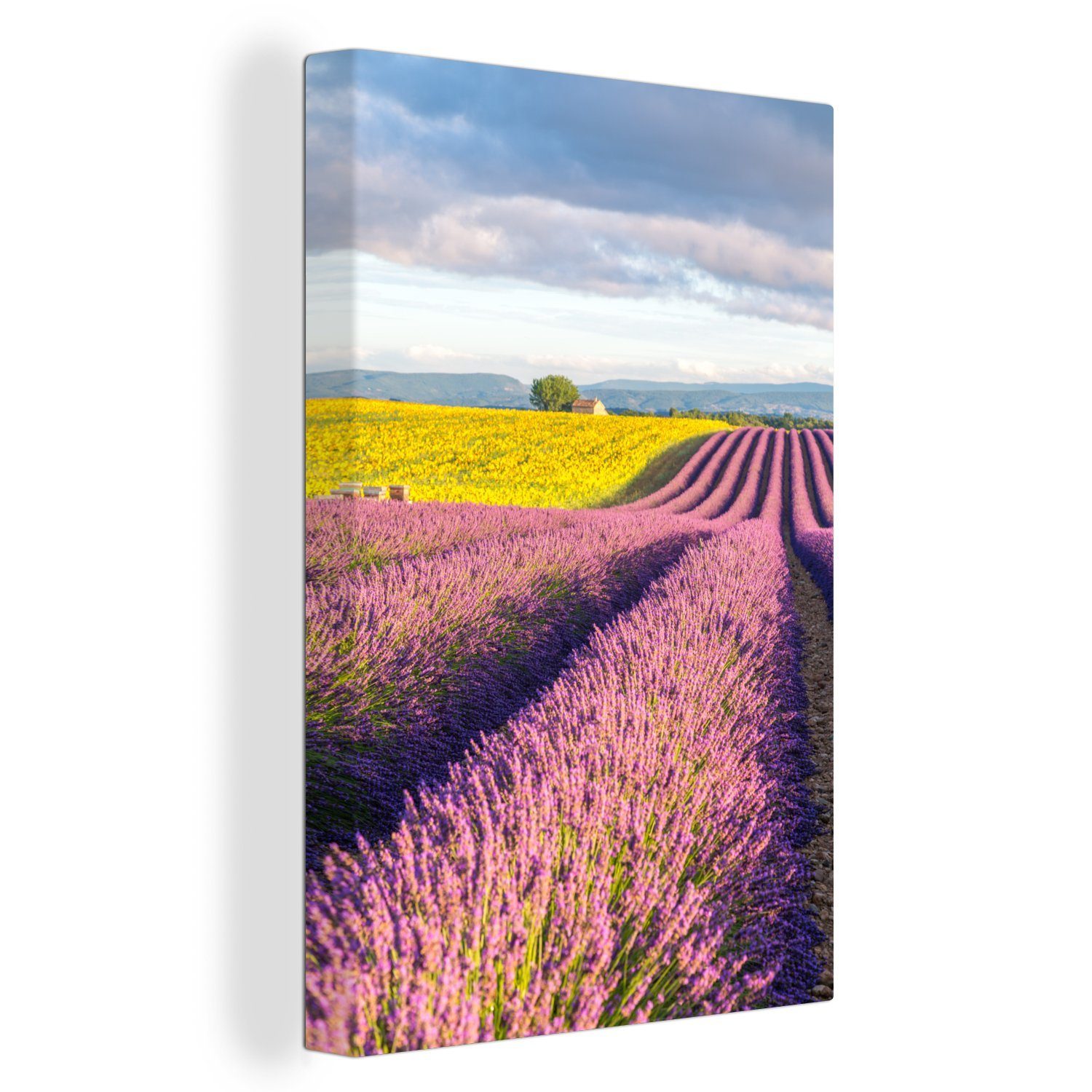 OneMillionCanvasses® Leinwandbild Lavendel - Sonnenblumen - Frankreich, (1 St), Leinwandbild fertig bespannt inkl. Zackenaufhänger, Gemälde, 20x30 cm