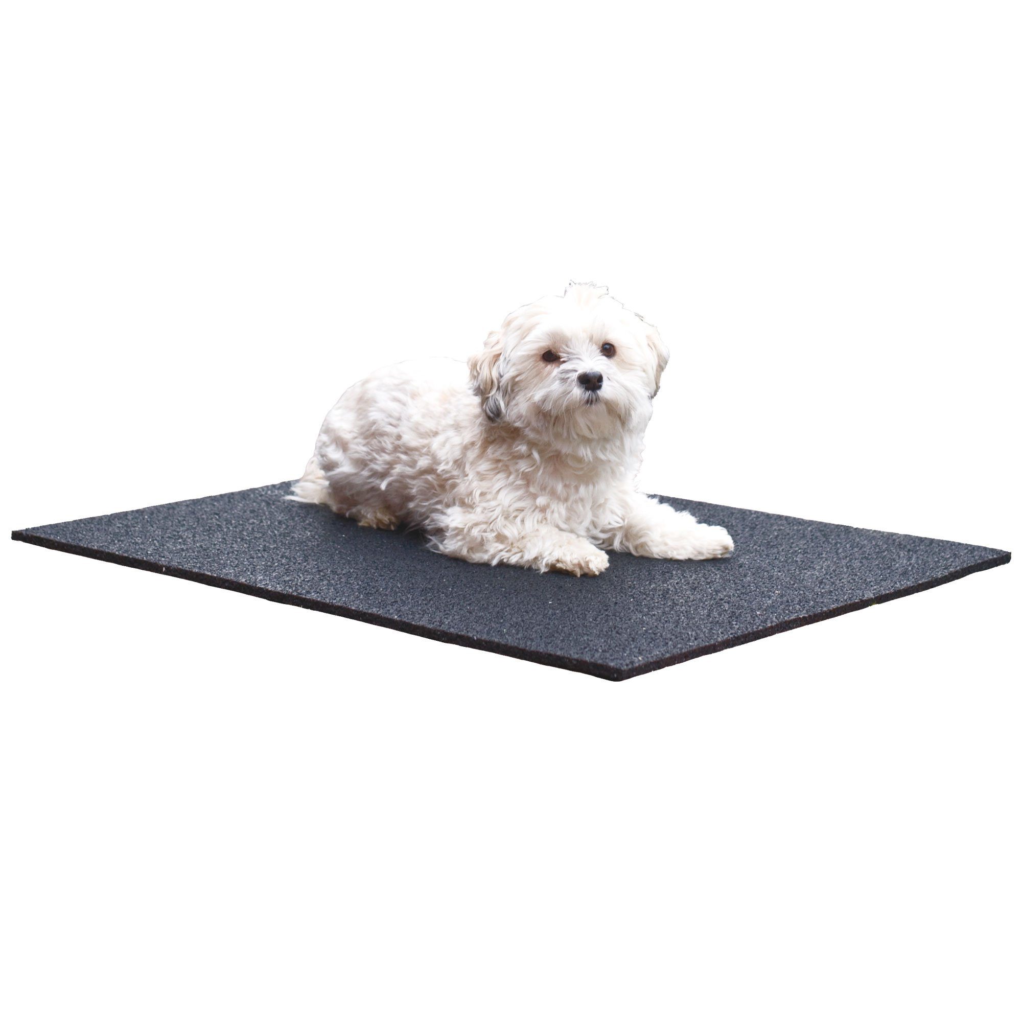 Schecker Hundematte Iso-Matte - 10mm dick - gegen Bodenkälte günstig online kaufen