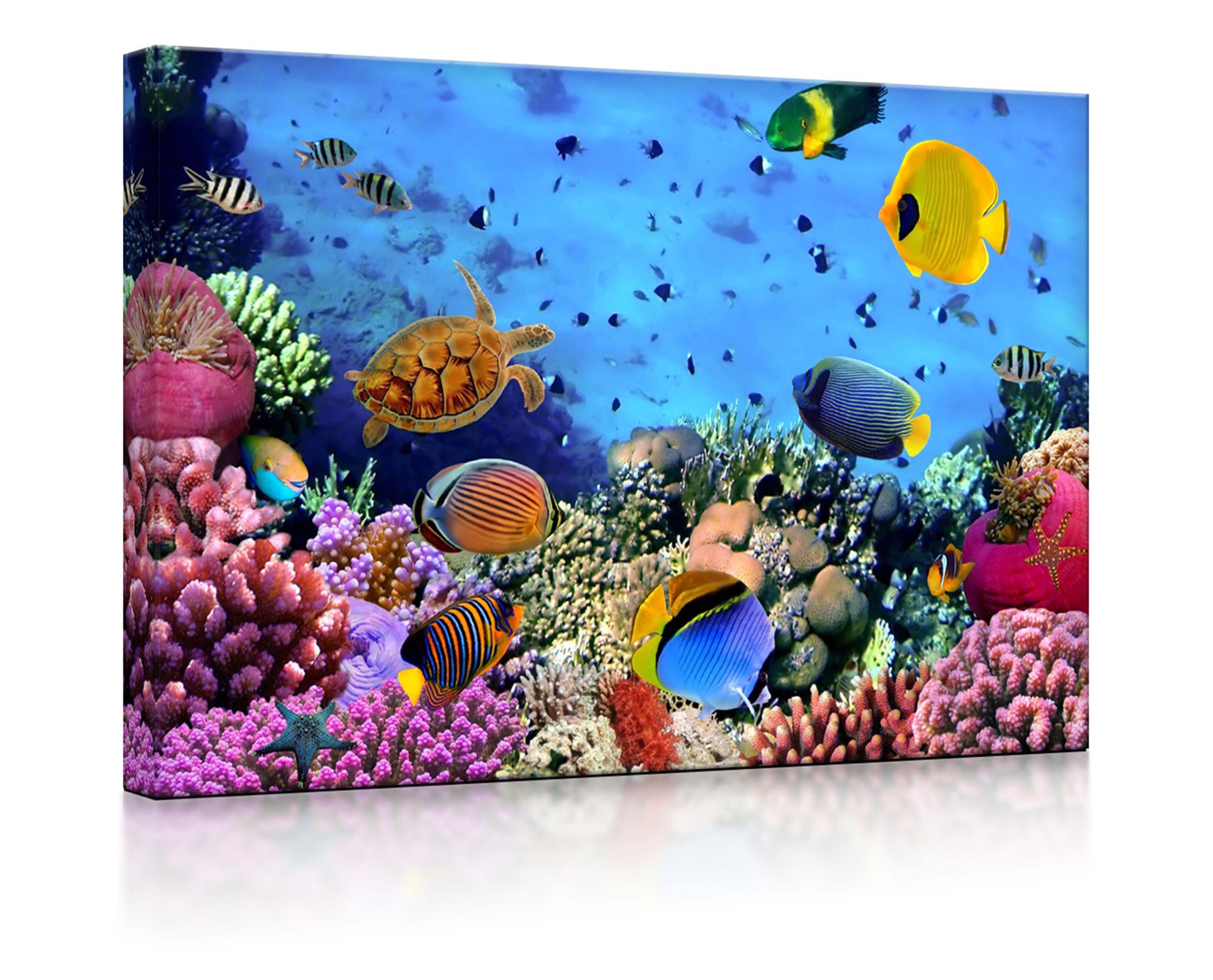über LED-Bild mit lightbox-multicolor / Fernbedienung lighted Bunte Fische 60x40cm, Leuchtbild front Korallenriff