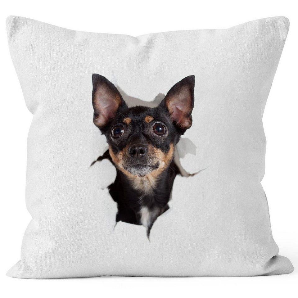 MoonWorks Dekokissen »KissenBezug Hund English Toy Terrier MoonWorks