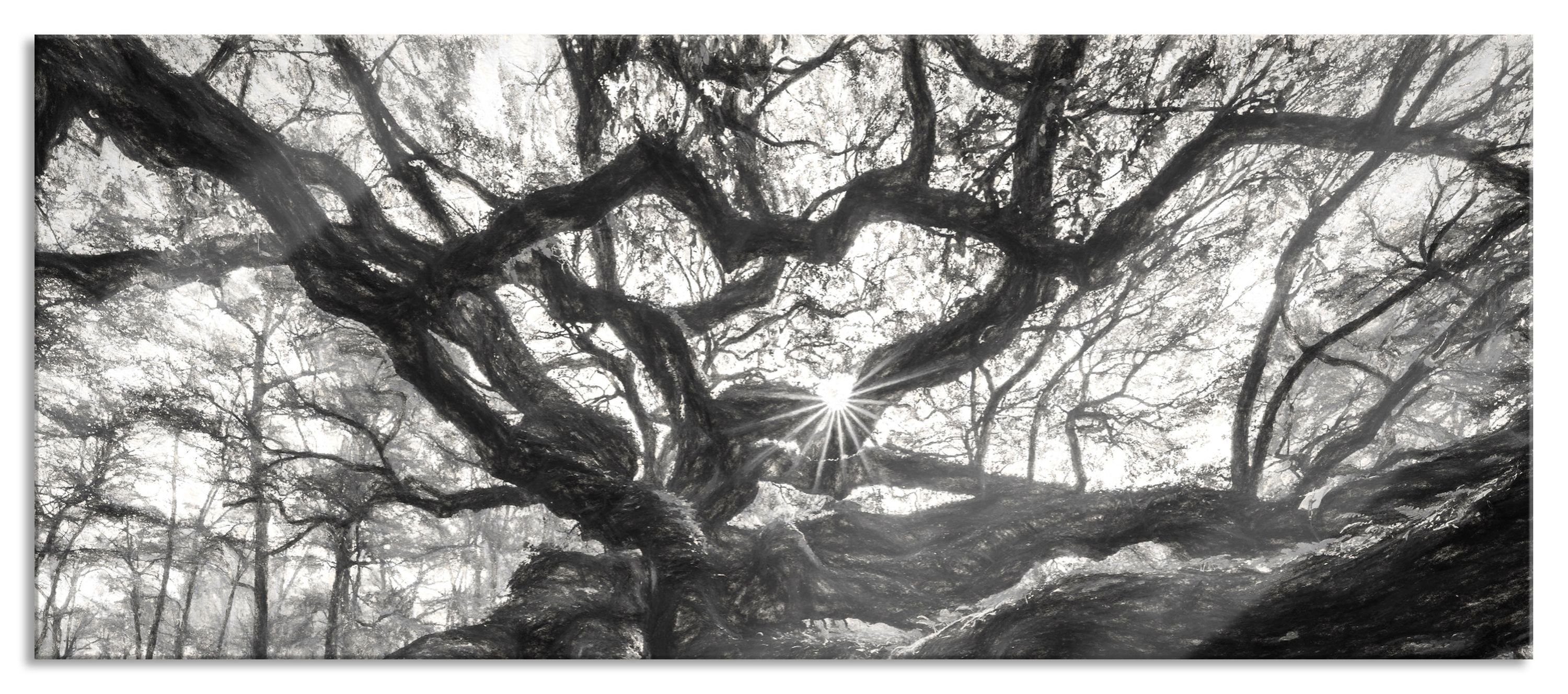 Glasbild Baum