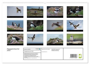 CALVENDO Wandkalender Papageientaucher 2023CH-Version (Premium, hochwertiger DIN A2 Wandkalender 2023, Kunstdruck in Hochglanz)