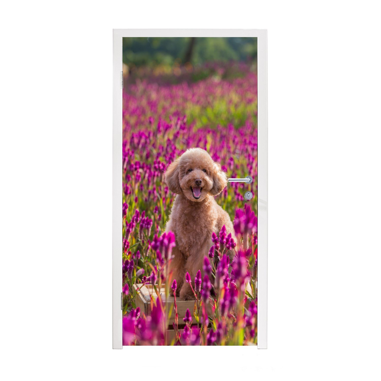 MuchoWow Türtapete Hund - Blumen - Lavendel - Frühling, Matt, bedruckt, (1 St), Fototapete für Tür, Türaufkleber, 75x205 cm