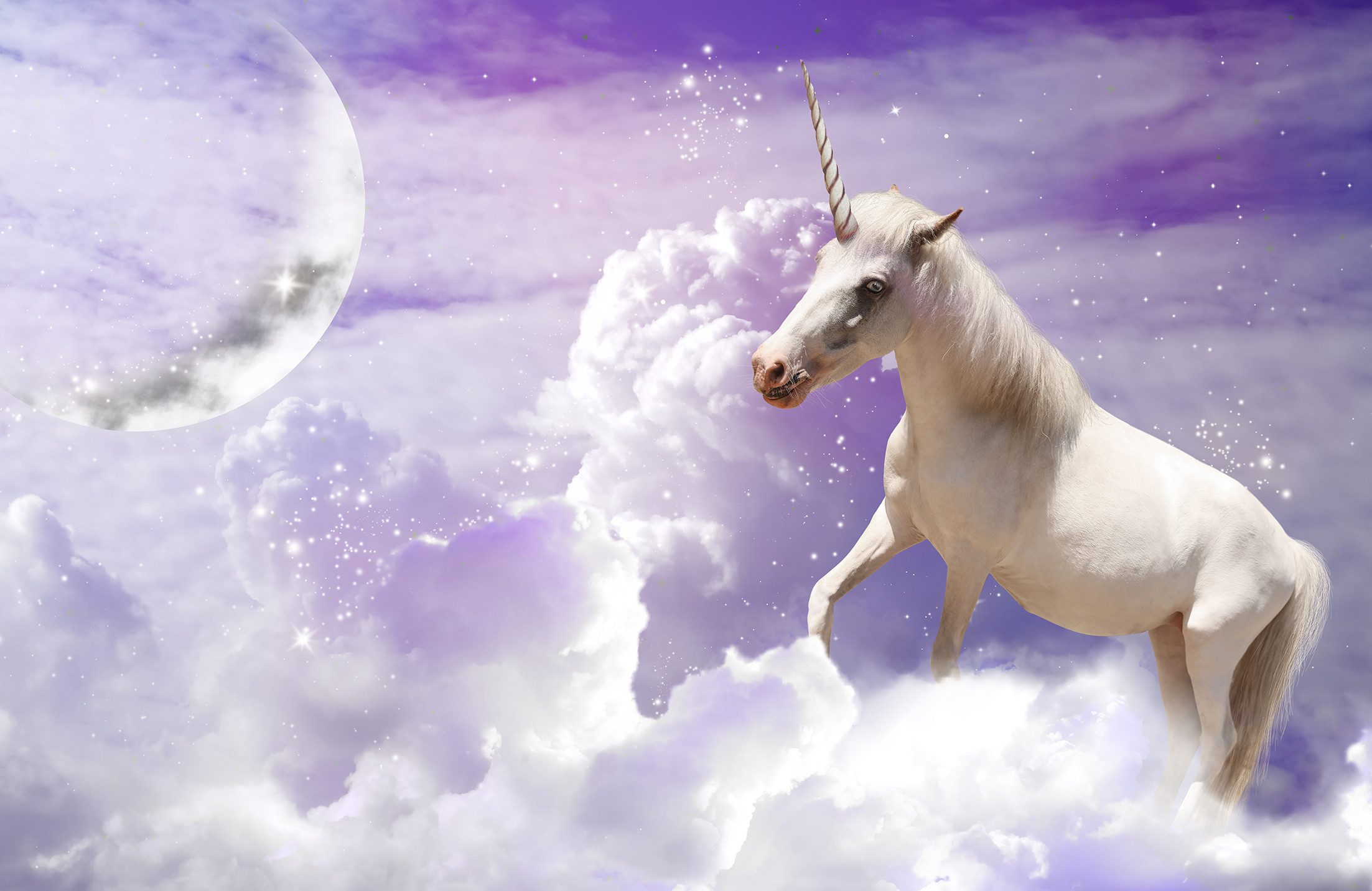 Papermoon Fototapete VLIES-Tapete Premium "Einhorn", Kleister KOSTENLOS, reduziert, 3D-Effekt, restlos trocken abziehbar, (5764), Wandtapete Bild Dekoration Wand-Dekor Motiv Tapete Poster
