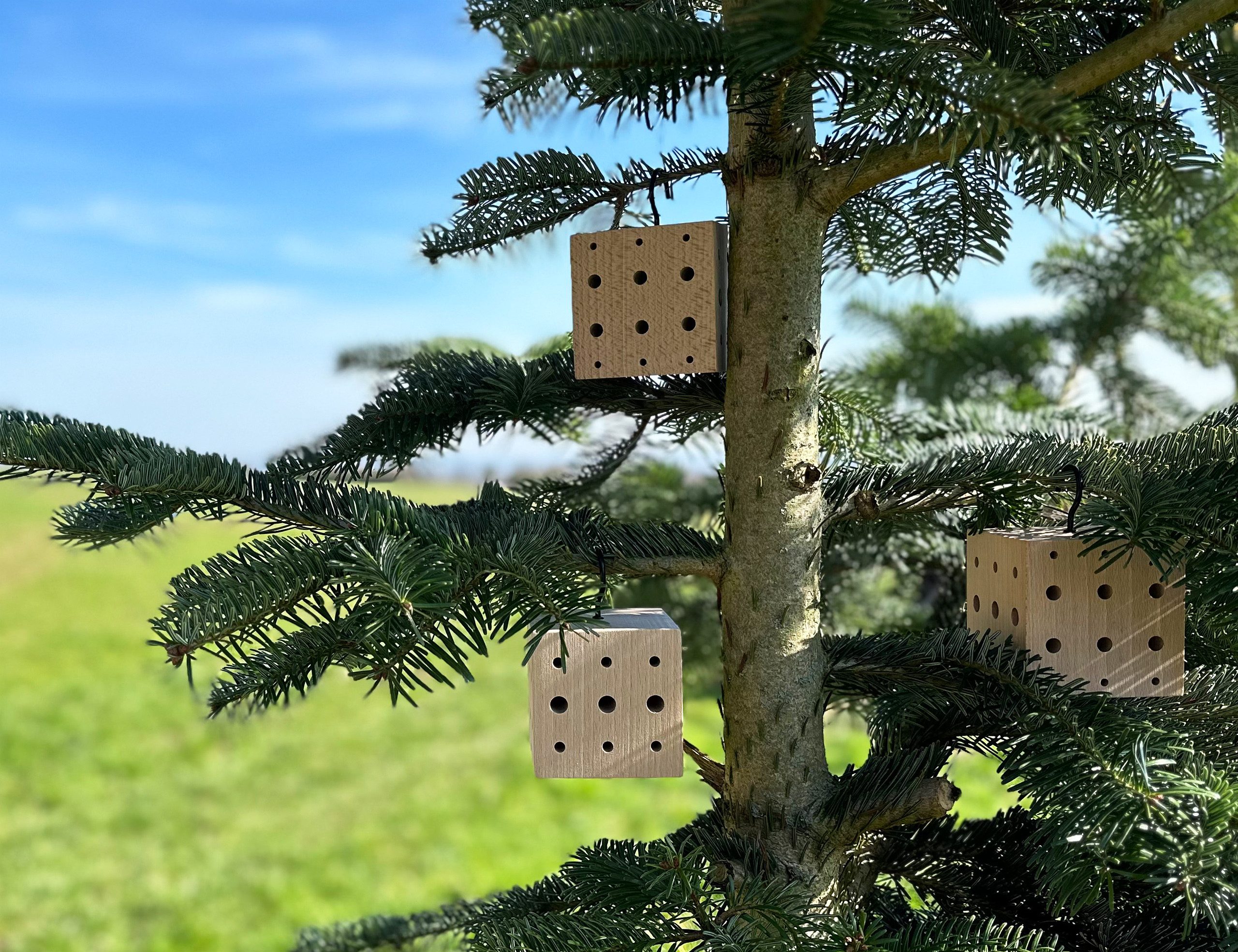 WONDERMAKE Insektenhotel 3er Set aus Holz, Bienenhotel Bienenhaus Insektenhaus Wildbienenhotel, Nisthilfe für Wildbienen, klein hängend für Balkon, Holz unbehandelt