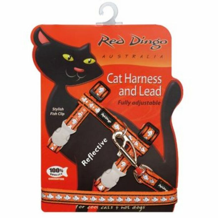 Red Dingo Geschirr Geschirr RD mit Leine - Katze - Fish Rfx- Orange