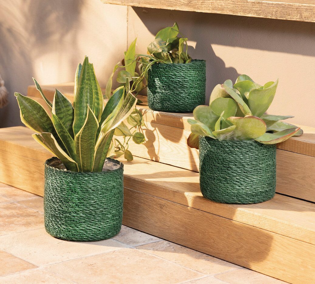 Home-trends24.de Pflanzkübel Grün Pflanzkorb Blumenkorb Pflanzer Pflanzgefäß Körbe Seegras 3er Set (3 St)