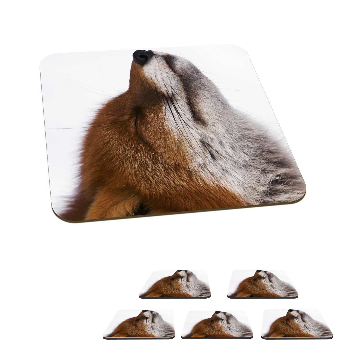 MuchoWow Glasuntersetzer Fuchs - Nase Untersetzer, für - Gläser, Tischuntersetzer, Tasse Weiß, Zubehör Korkuntersetzer, 6-tlg., Glasuntersetzer